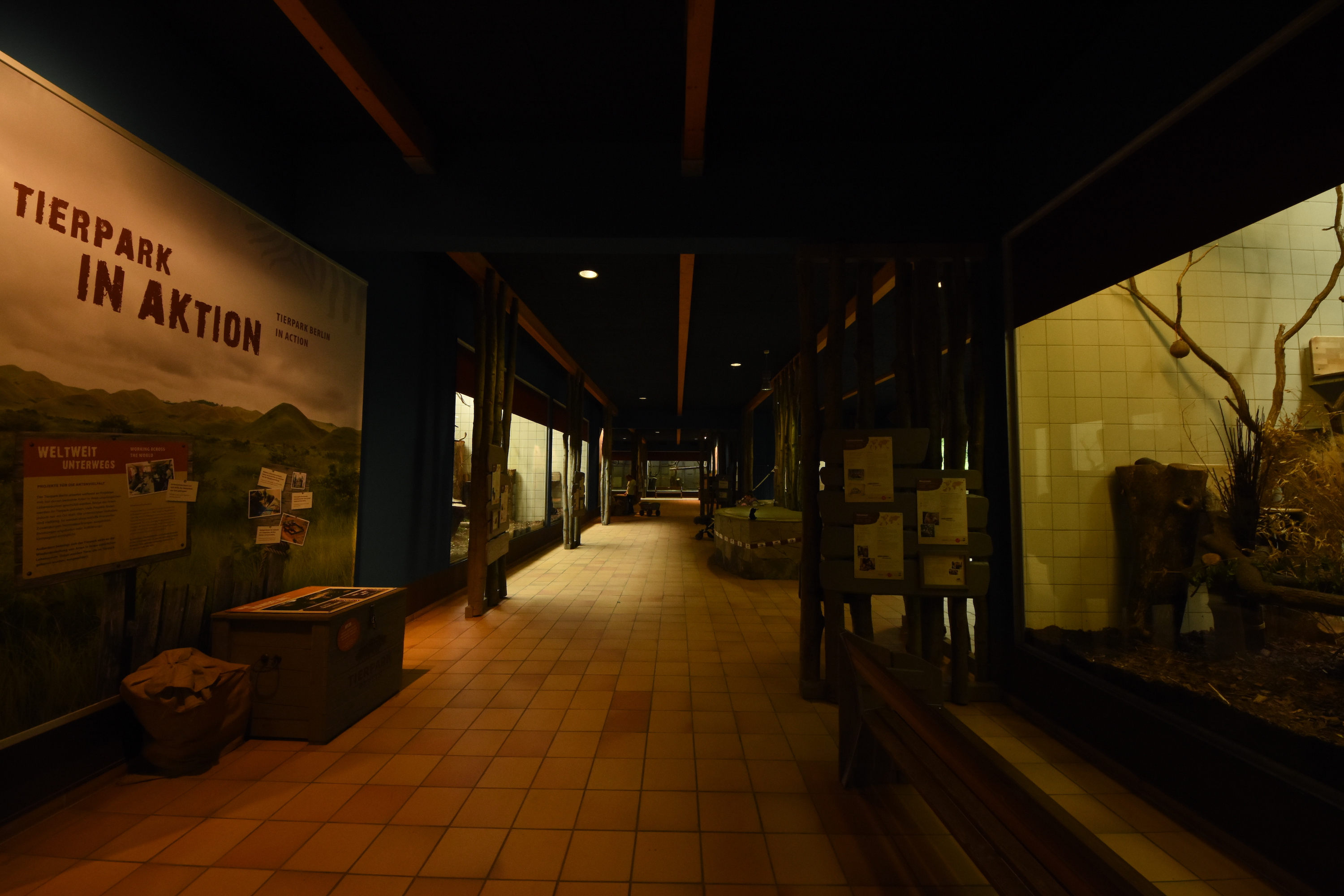 Monkey house indoors