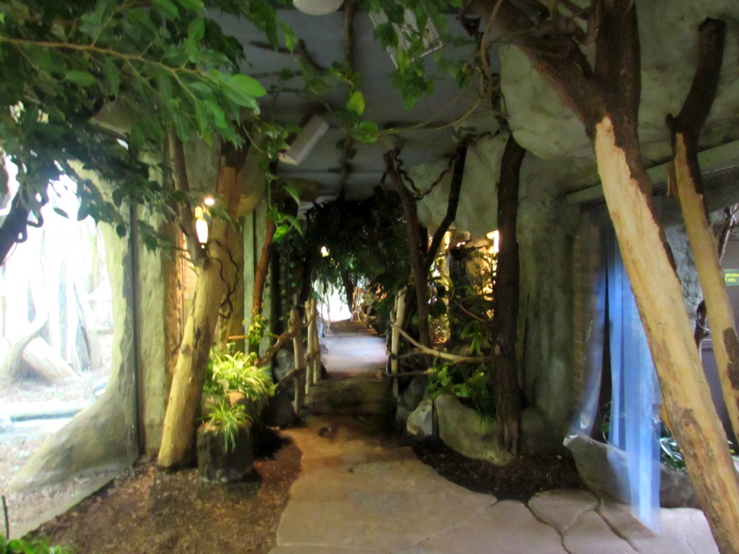 Monkey House inside - 1