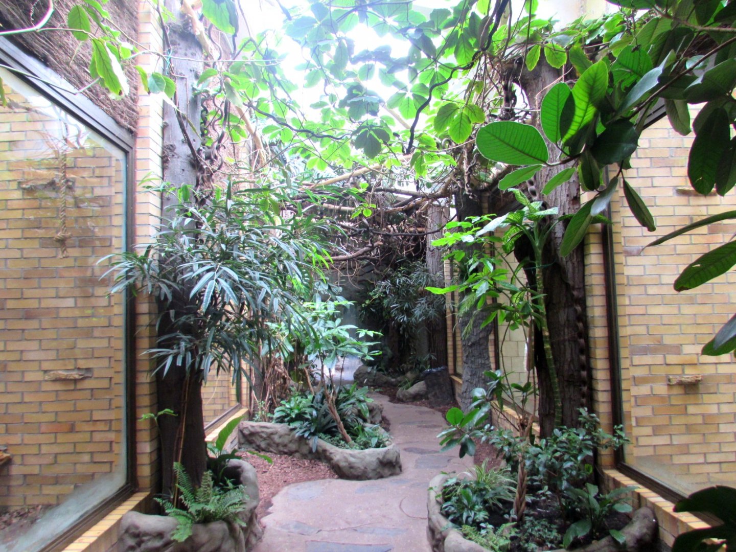 Monkey House inside - 2