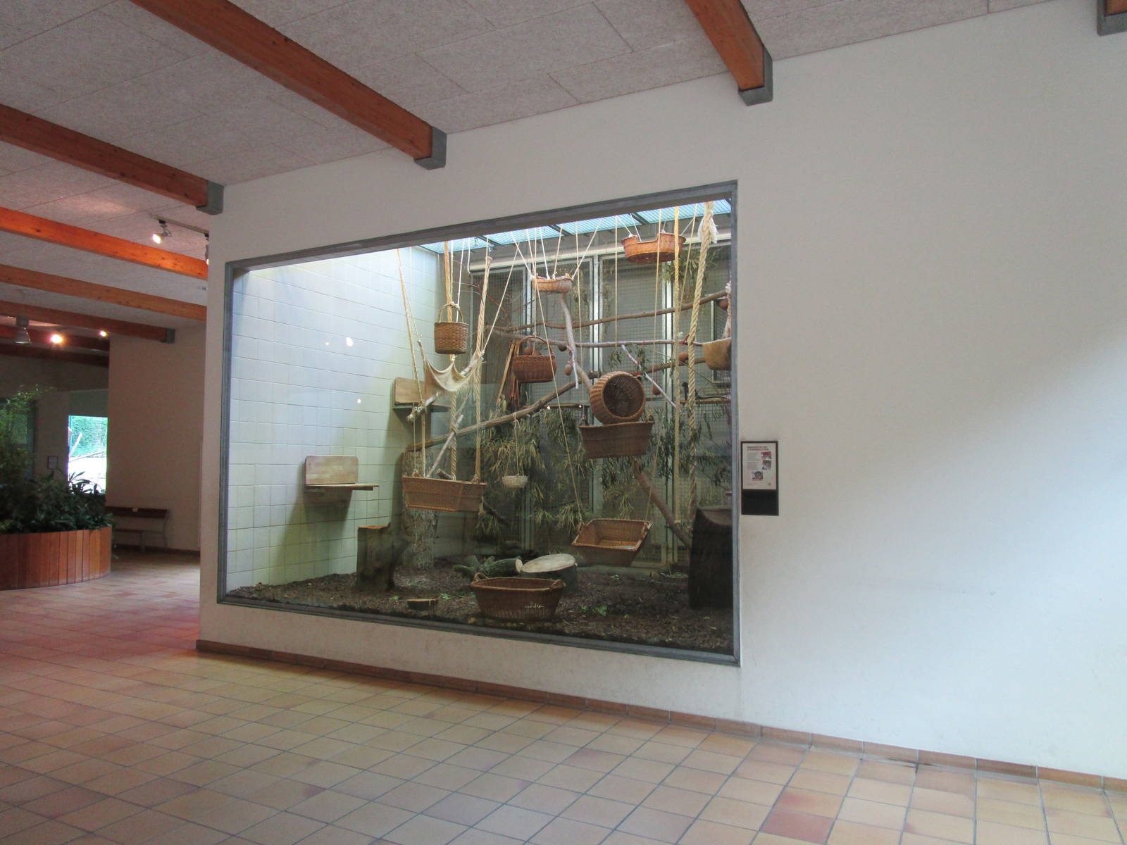 Monkey House interior - 6/7/15