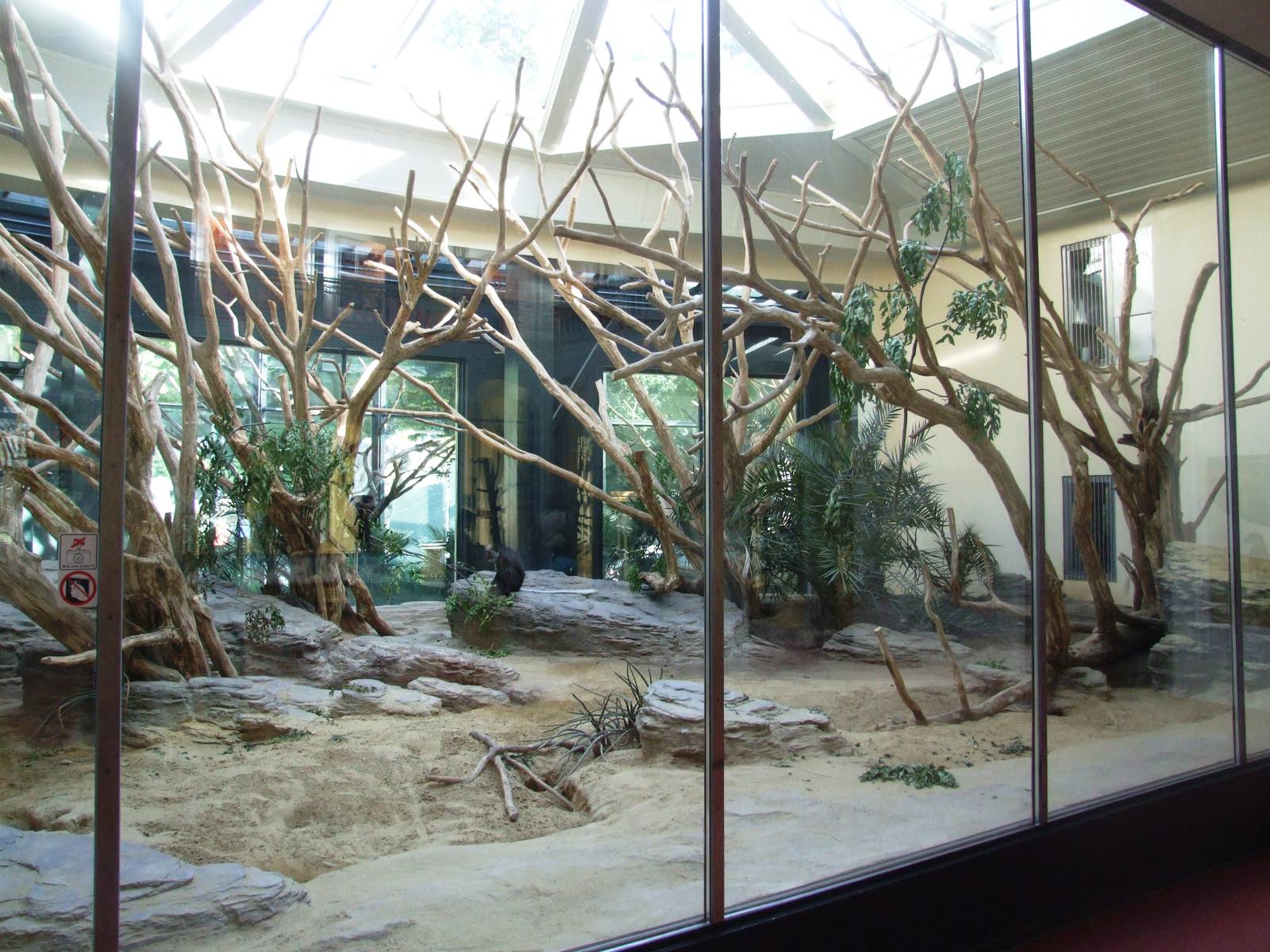 Monkey House Interior at Vienna, 14/06/13