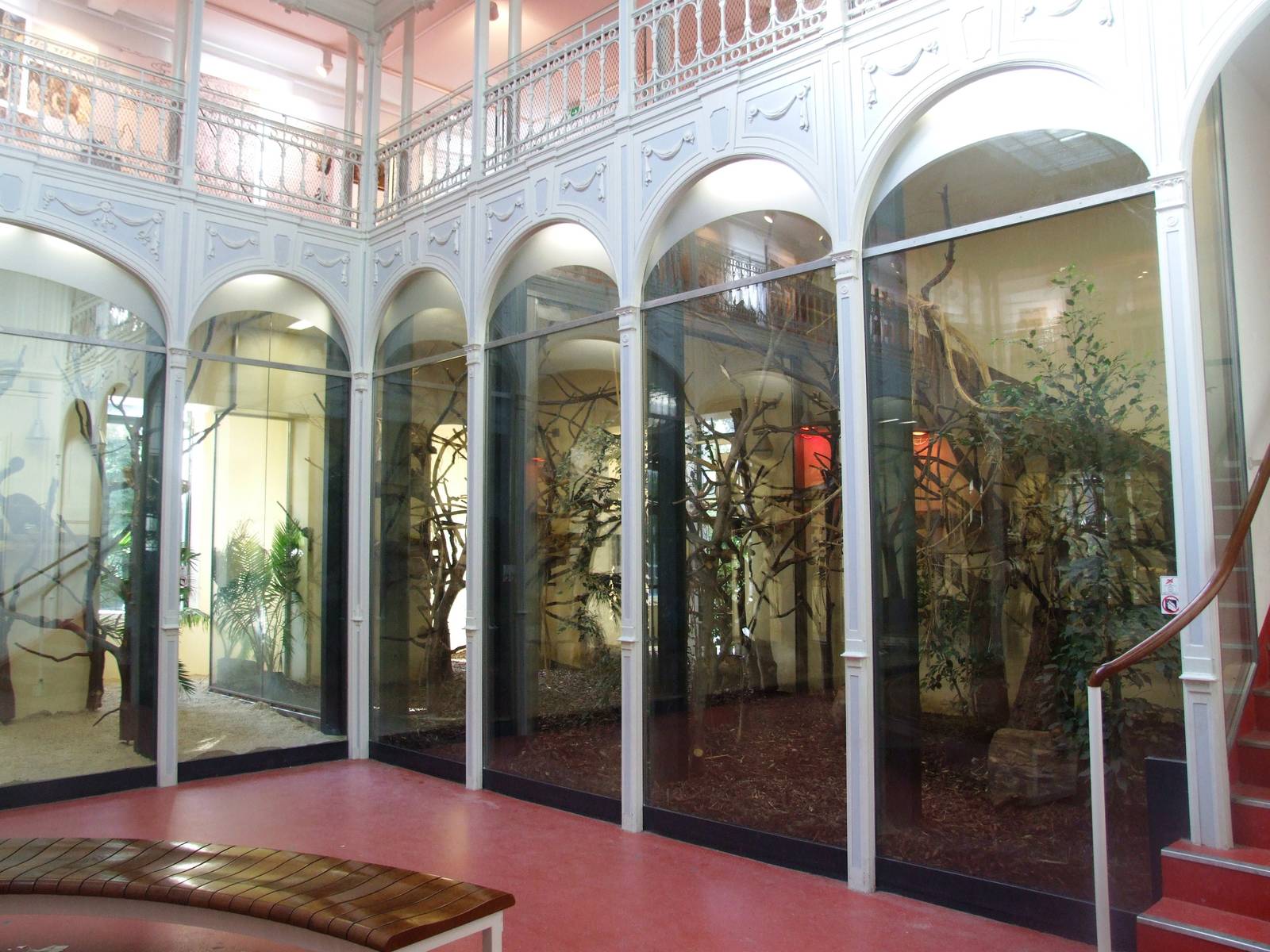 Monkey House Interior at Vienna, 14/06/13