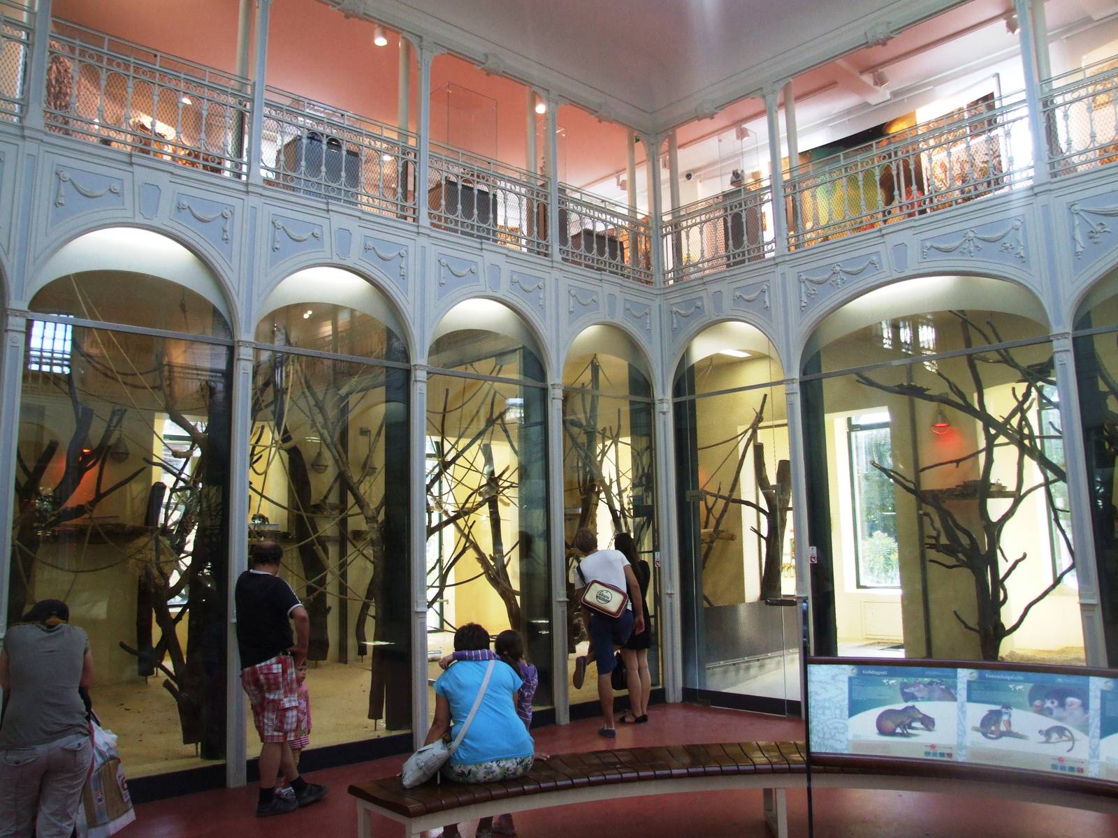 Monkey House Interior at Vienna, 14/06/13