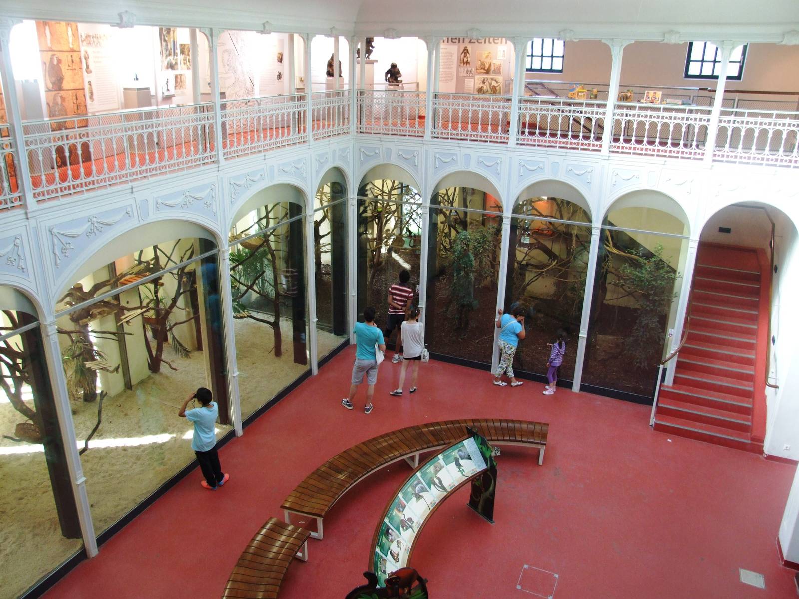 Monkey House Interior at Vienna, 14/06/13