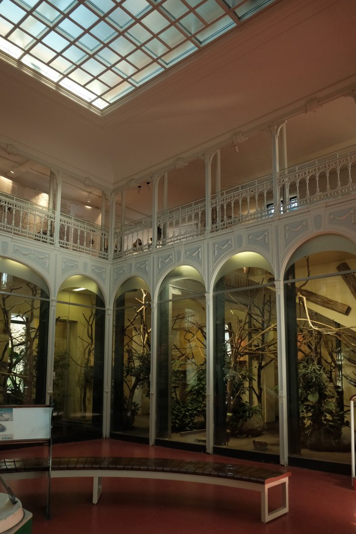 Monkey House - Interior (Fall 2024)