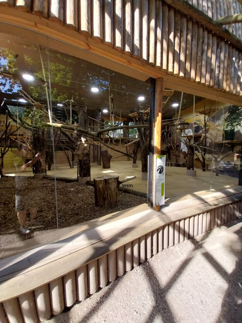 Monkey house - Interior for mantled colobus