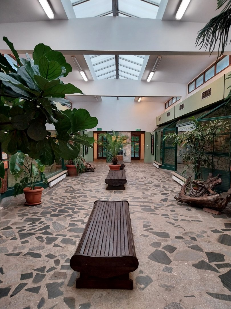 Monkey House interior
