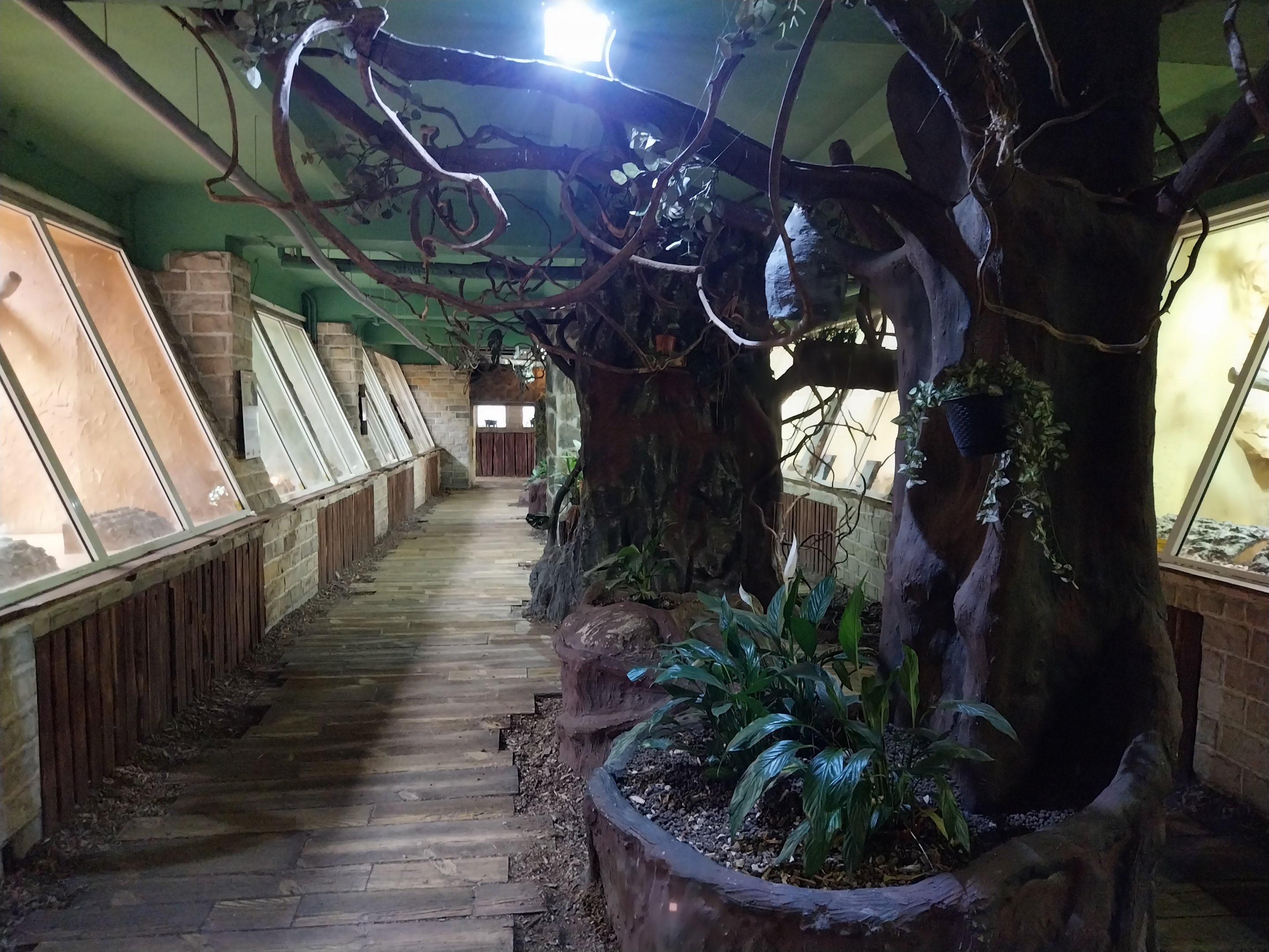 Monkey House interior