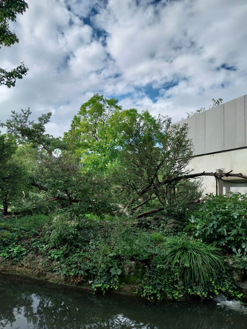 Monkey house - Island enclosure