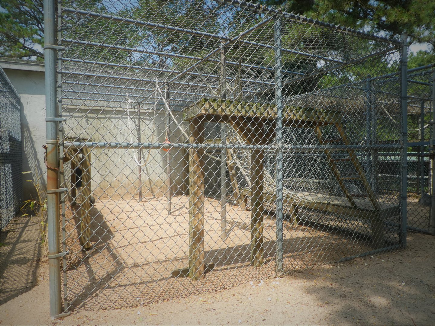 Monkey House - Japanese Macaque Exhibit