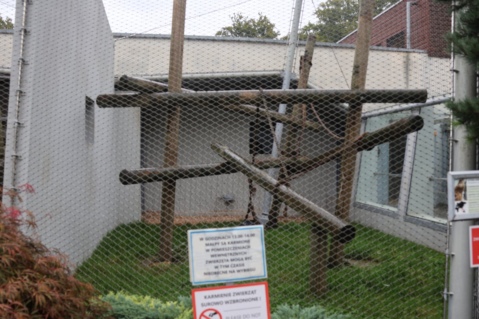 Monkey House - Javan lutung enclosure