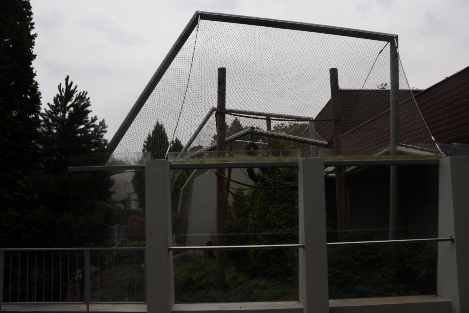 Monkey House - Lar Gibbon enclosure