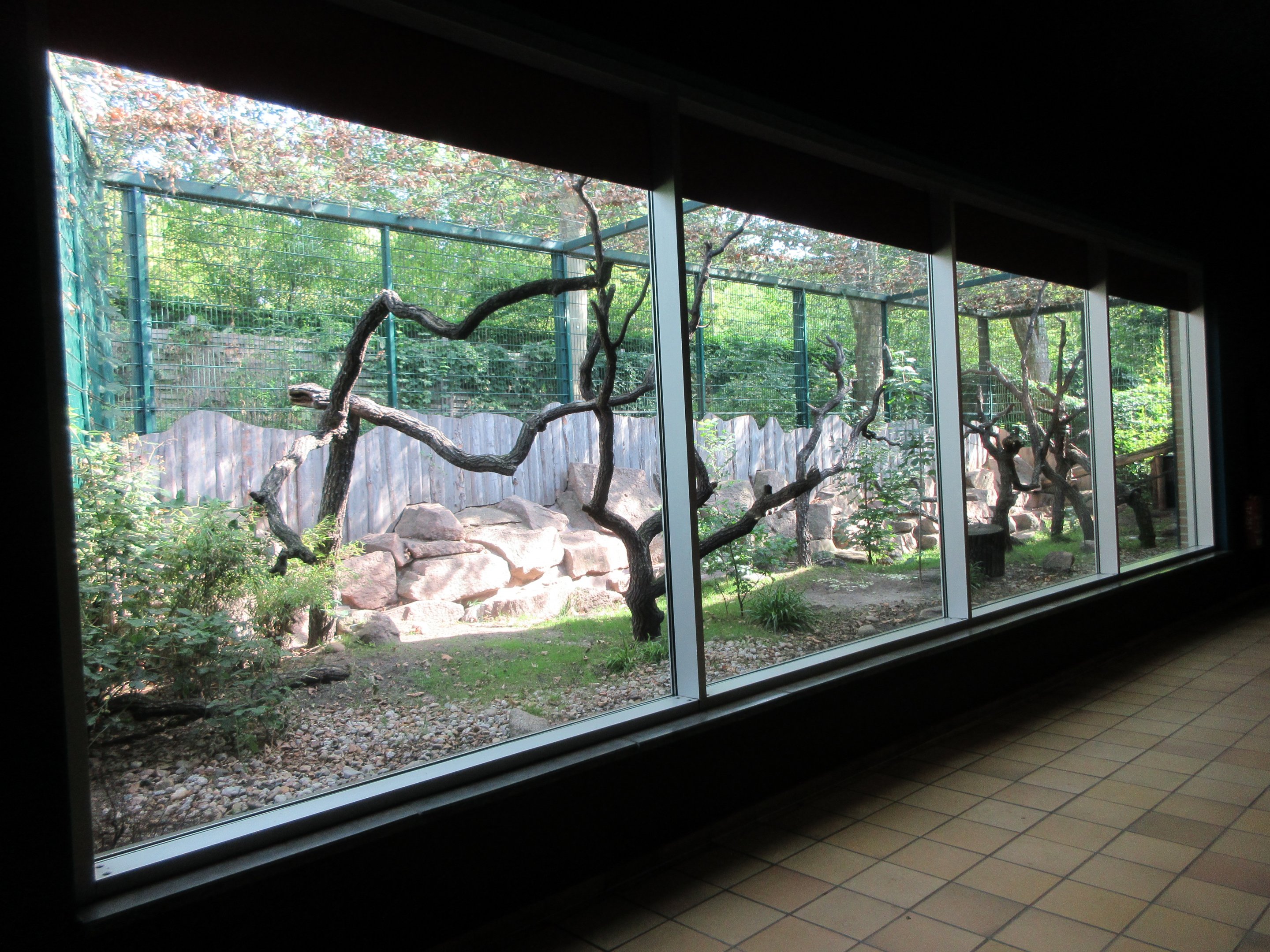 Monkey House - Lemur Exhibit