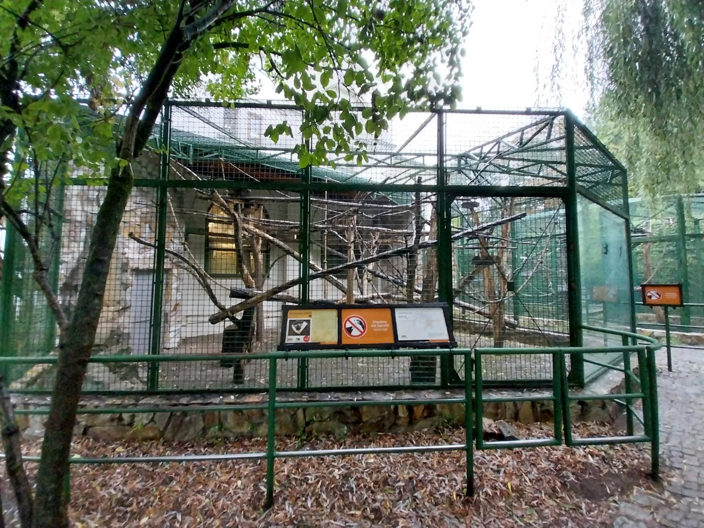 Monkey House - L'hoest guenon enclosure