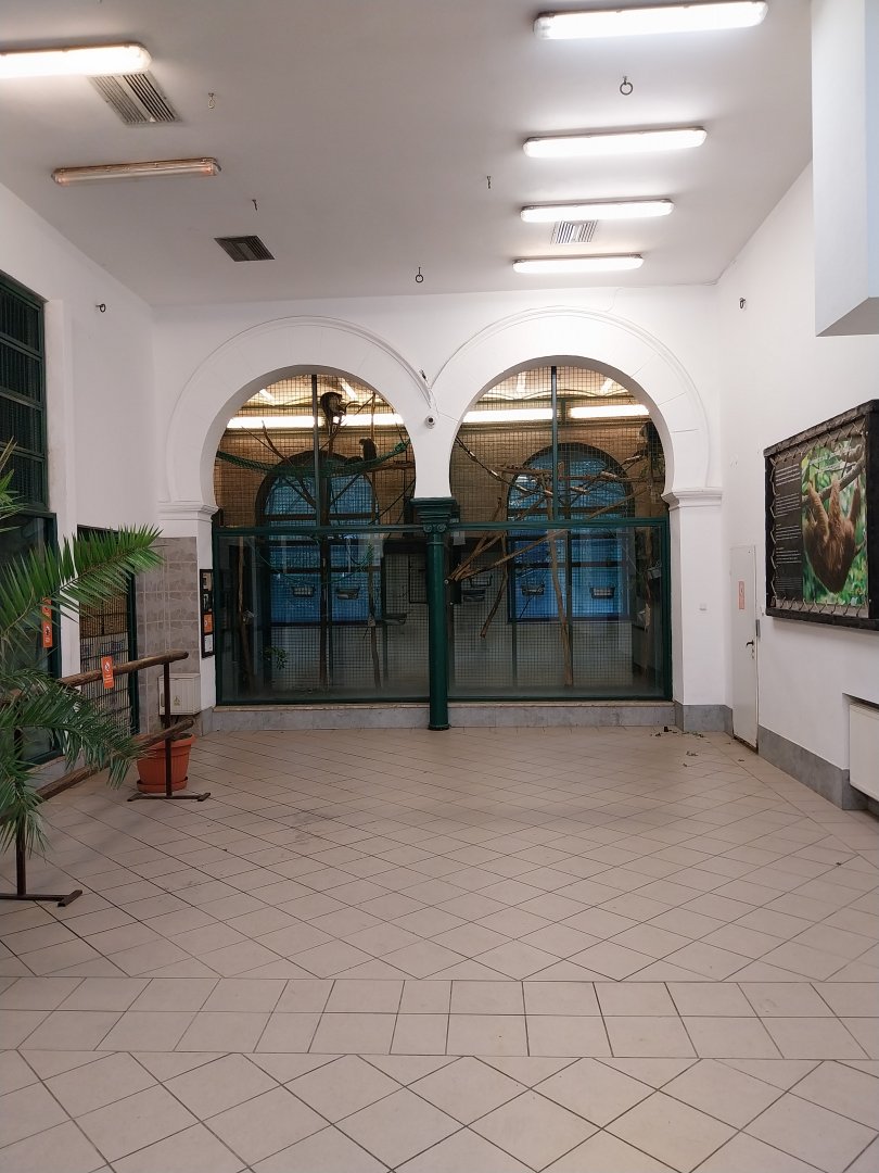 Monkey House - L'Hoest guenon (left) and Black howler monkey (right) indoors