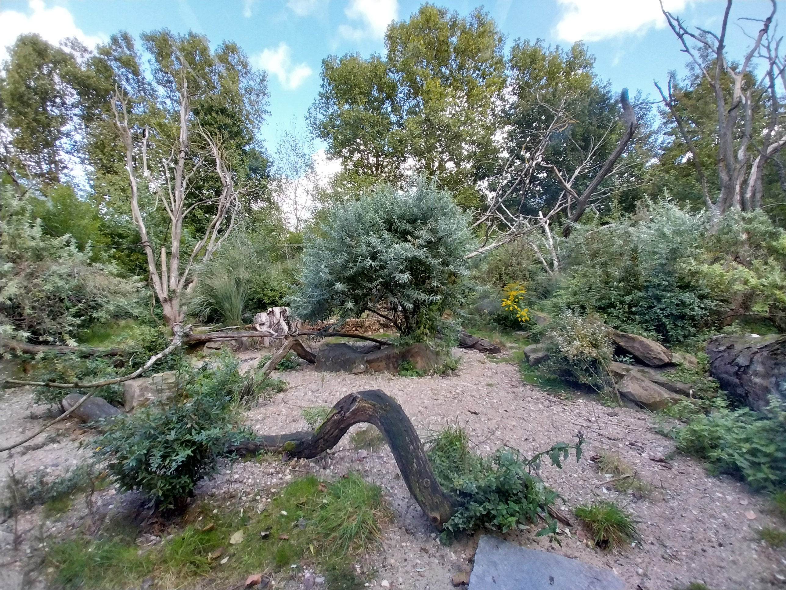 Monkey House - Madagascar exhibit