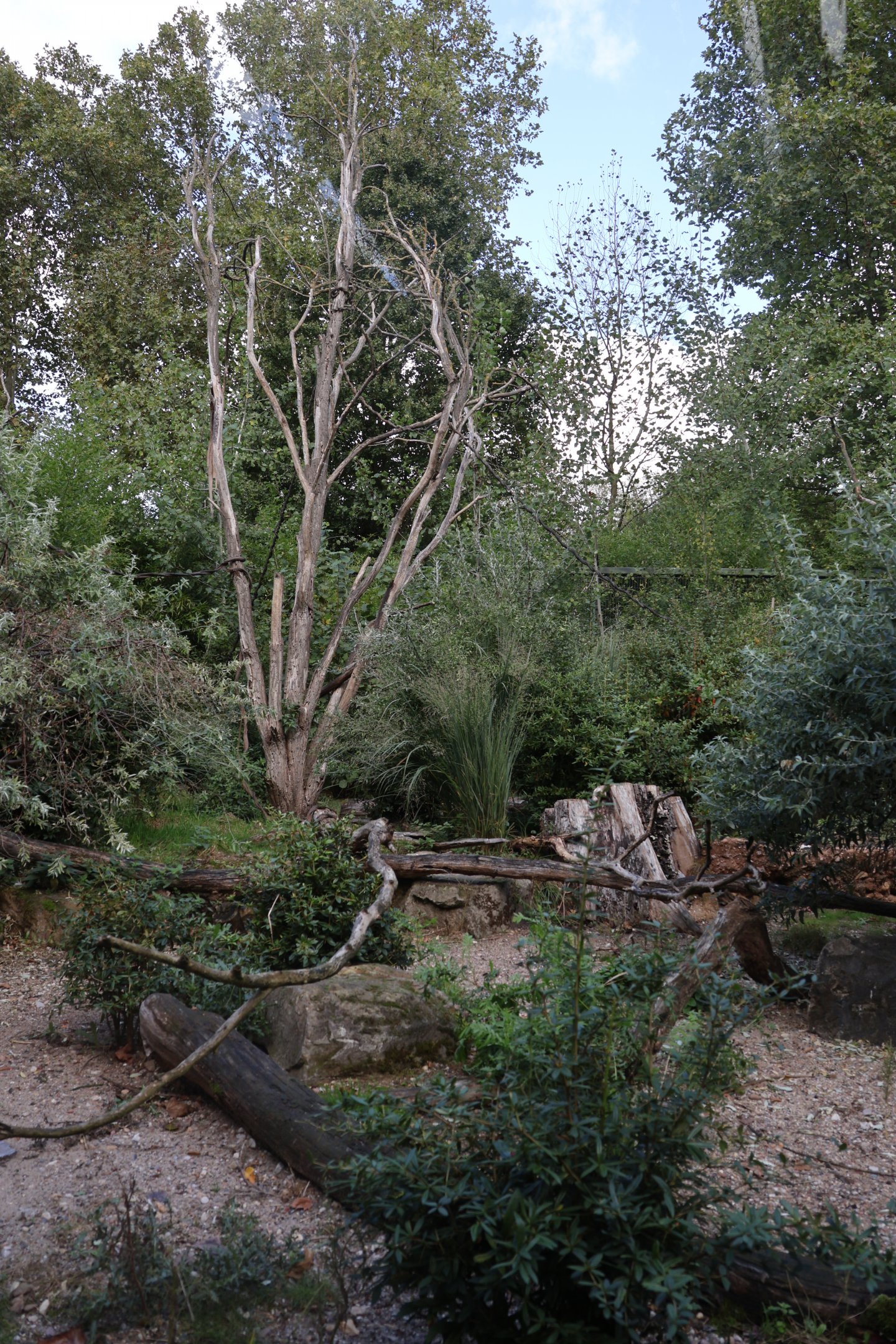 Monkey House - Madagascar exhibit