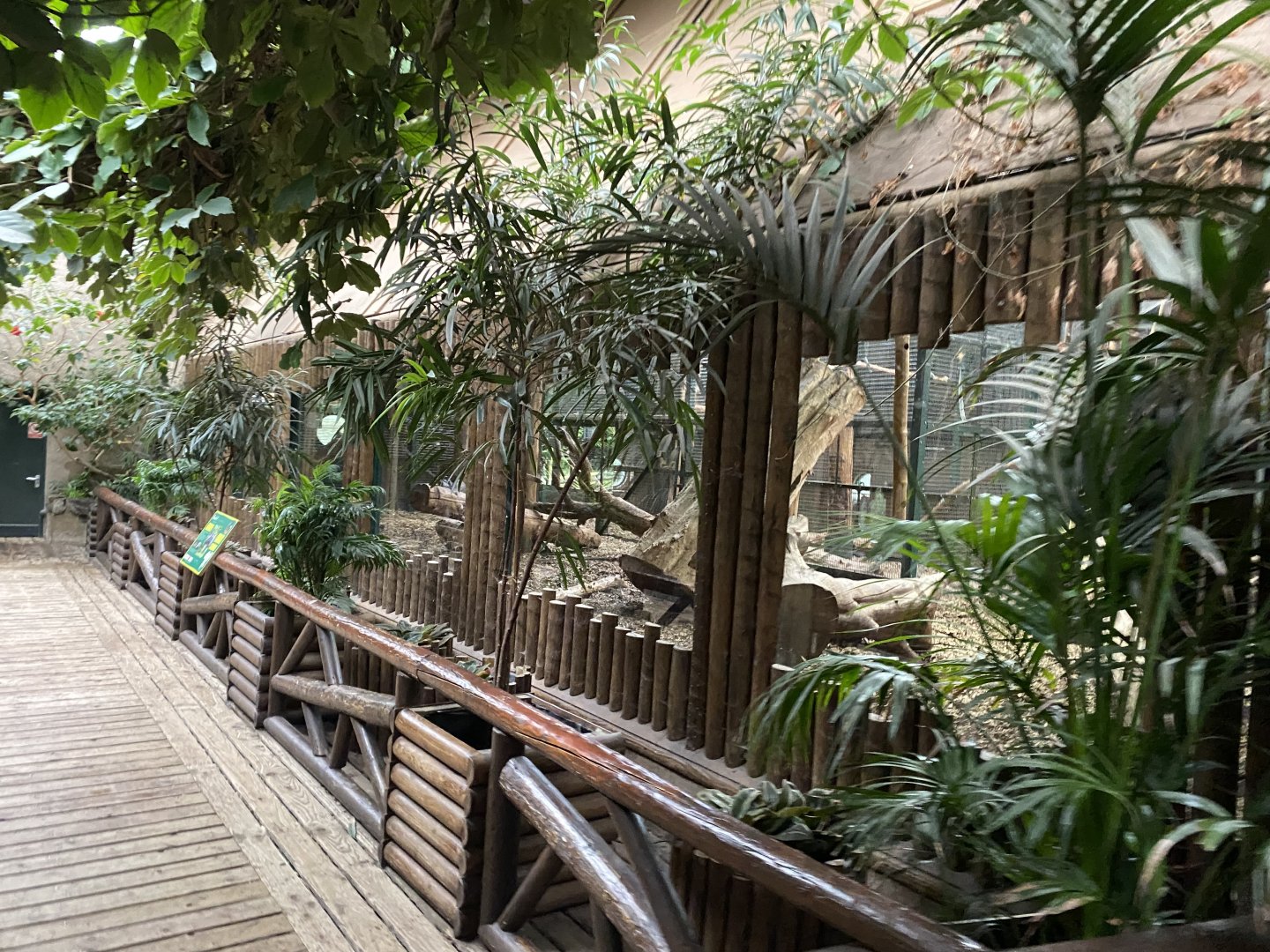 Monkey House - Mandrill enclosure 191021