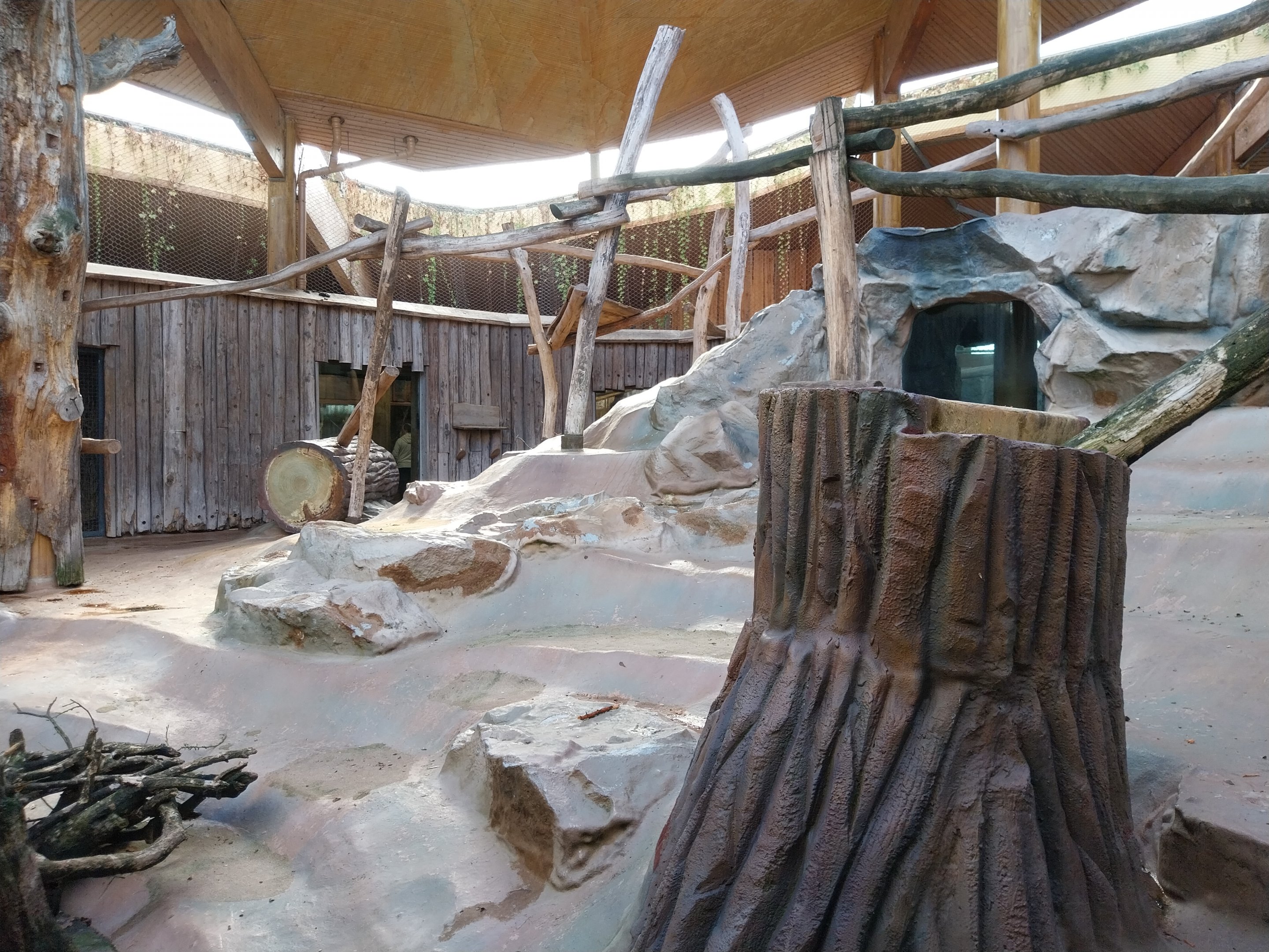 Monkey House - Mandrill (Mandrillus sphinx)