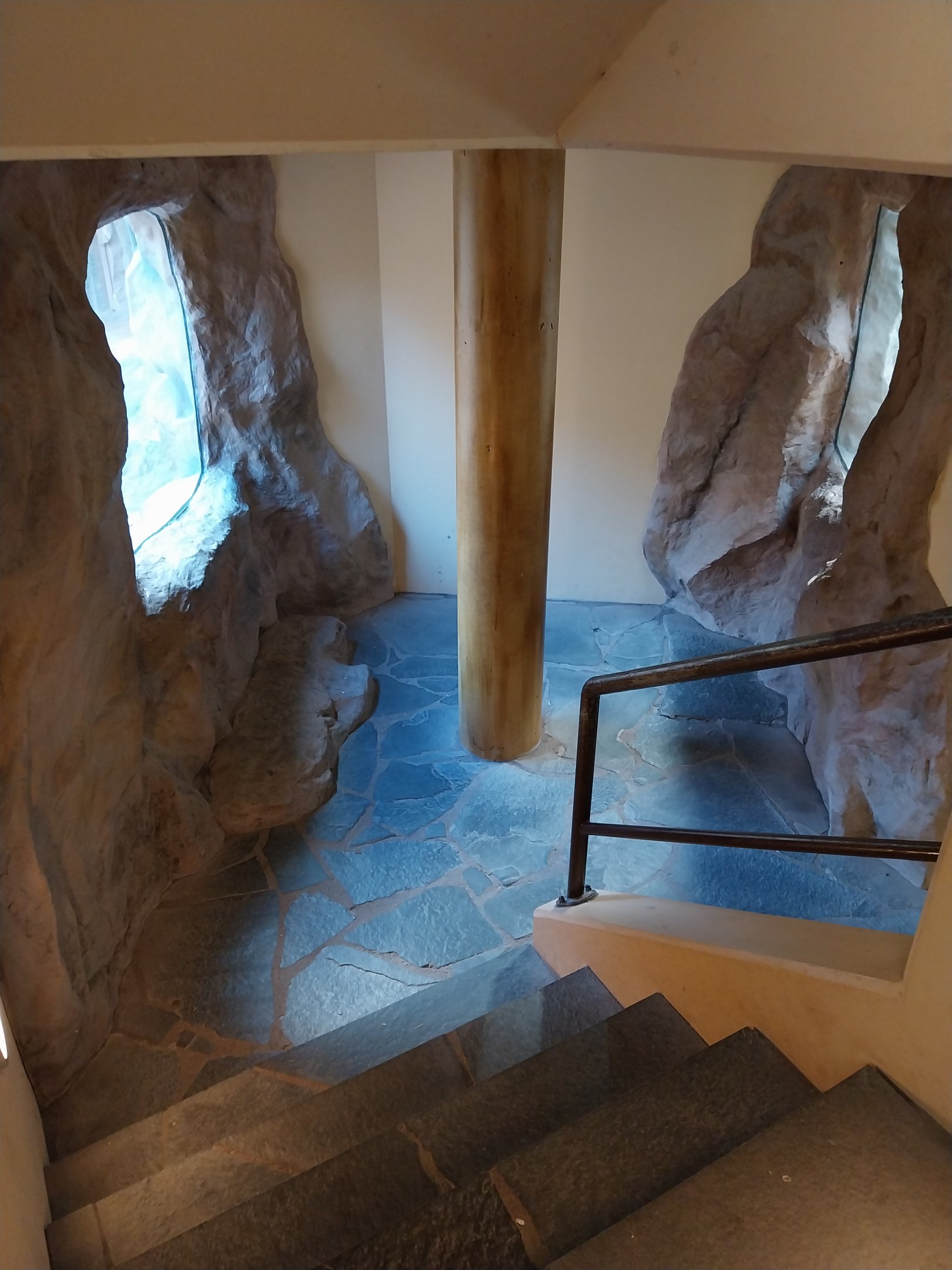 Monkey House - Mandrill (Mandrillus sphinx)