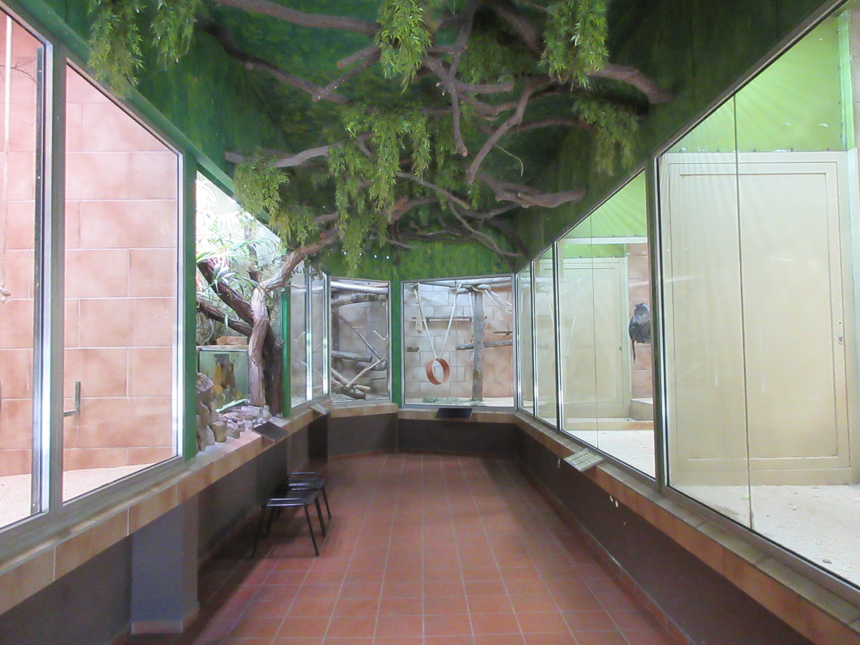 Monkey House (oldest part of zoo)