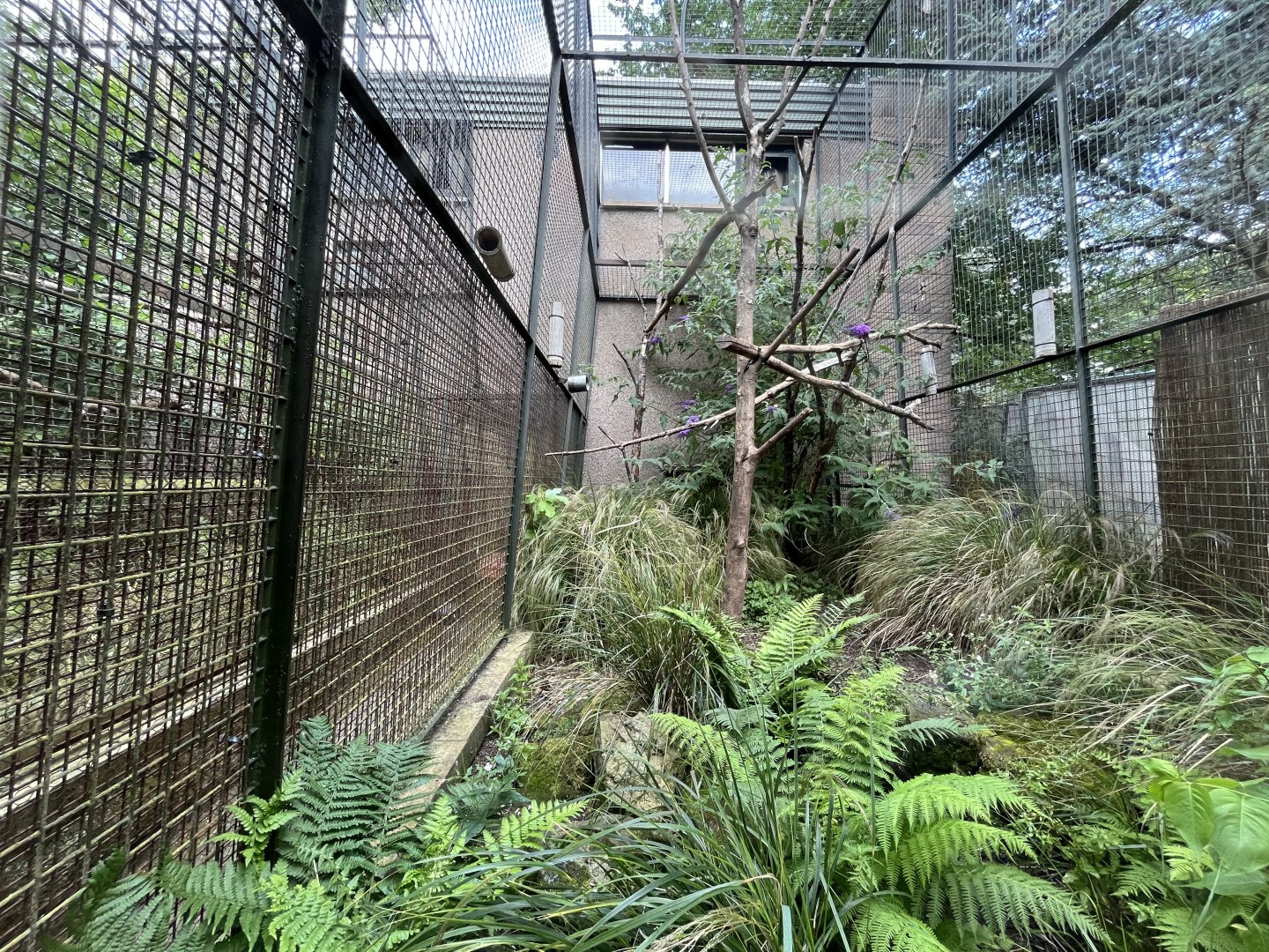 Monkey house outdoor cage 20.7.23