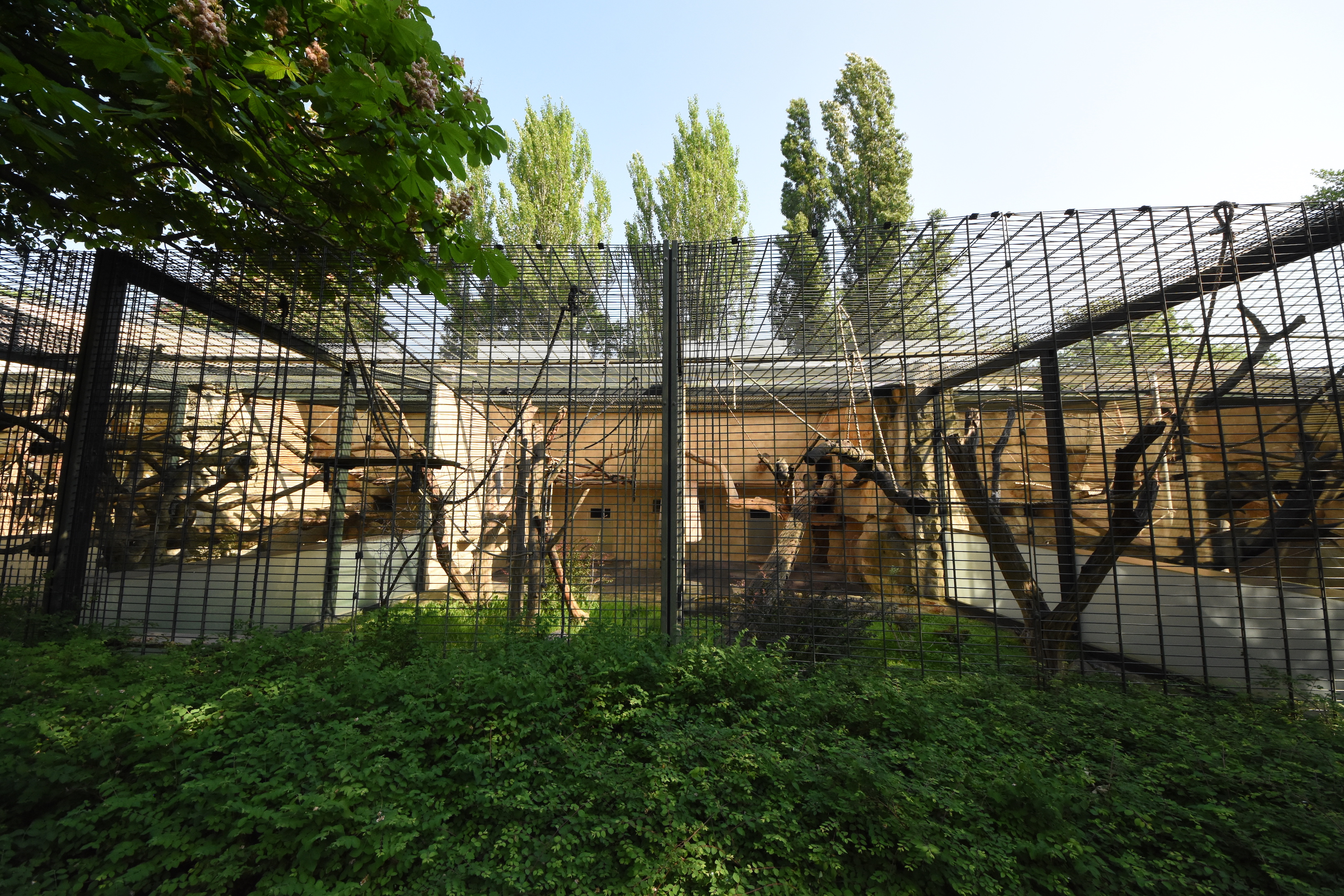 Monkey house - Outdoor cage