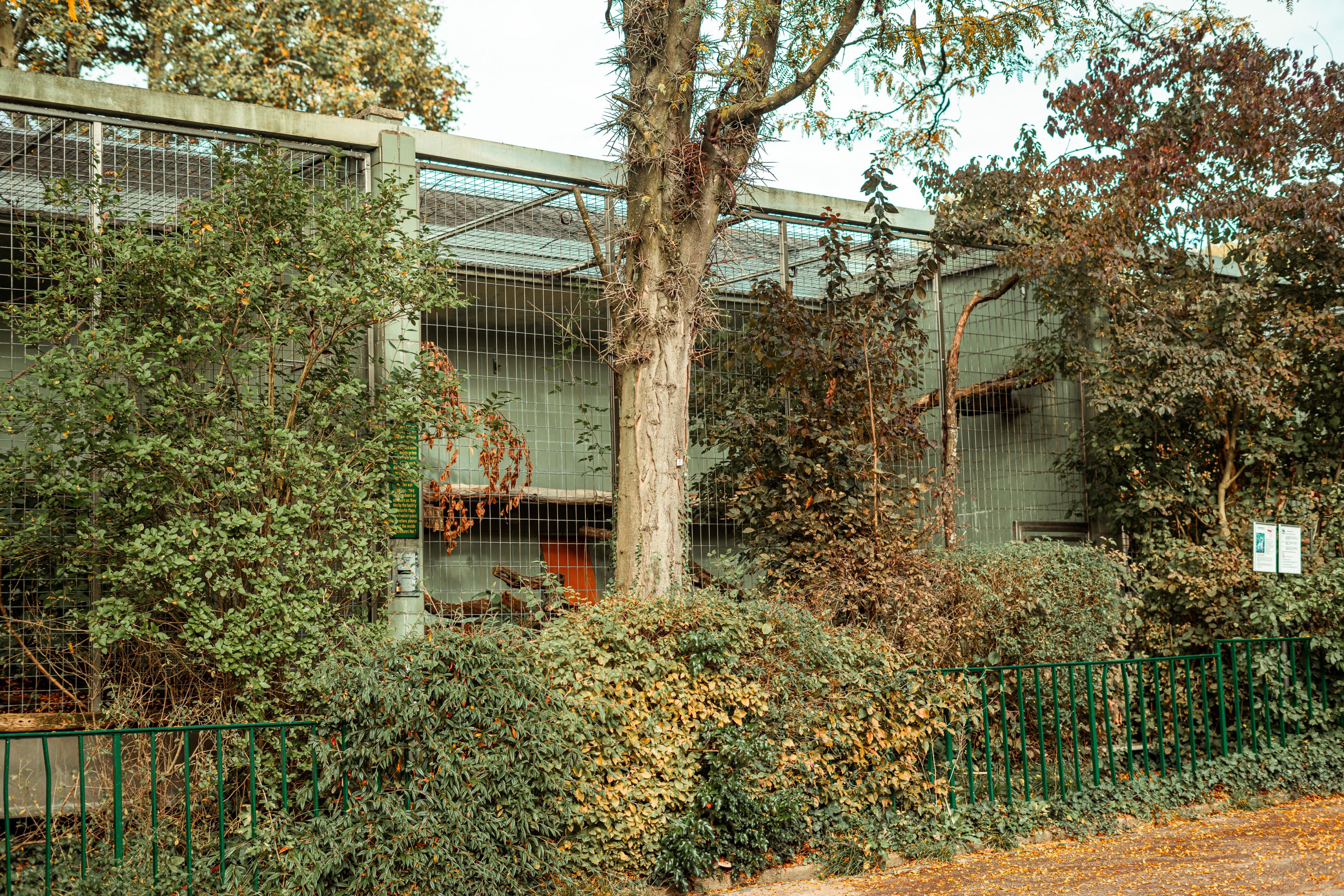 Monkey house outdoor cages