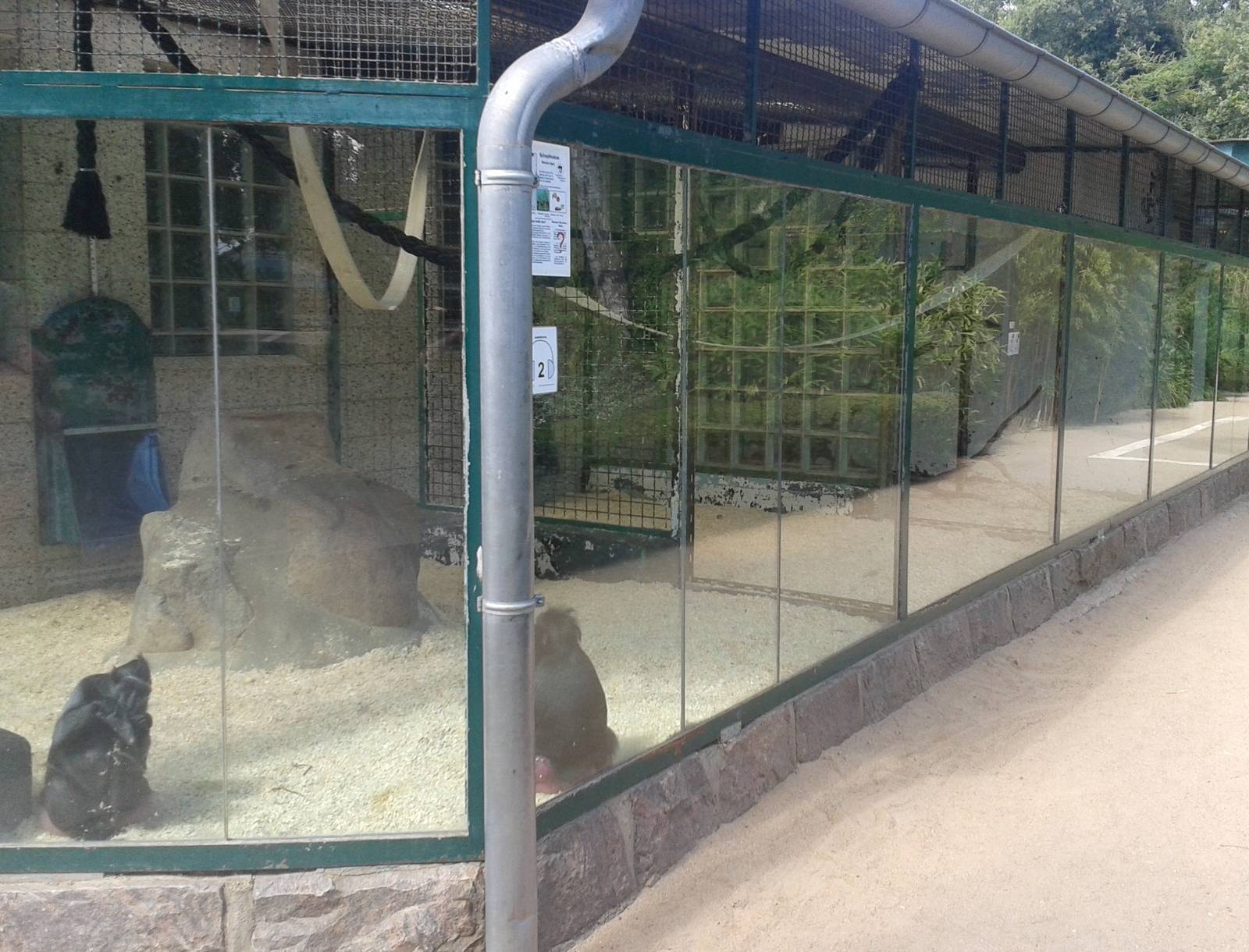 Monkey house outdoor enclosures