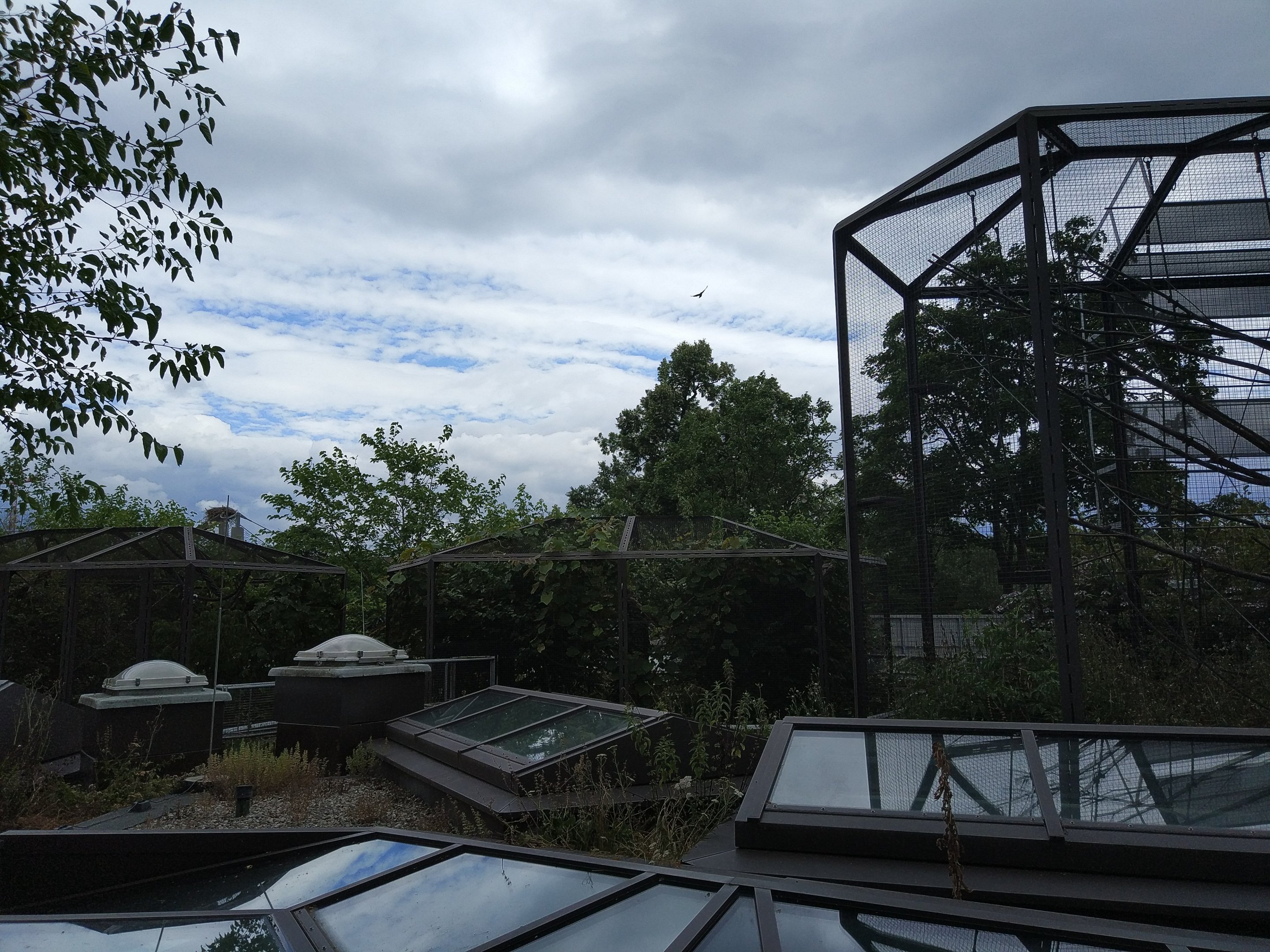 Monkey House outdoor exhibits