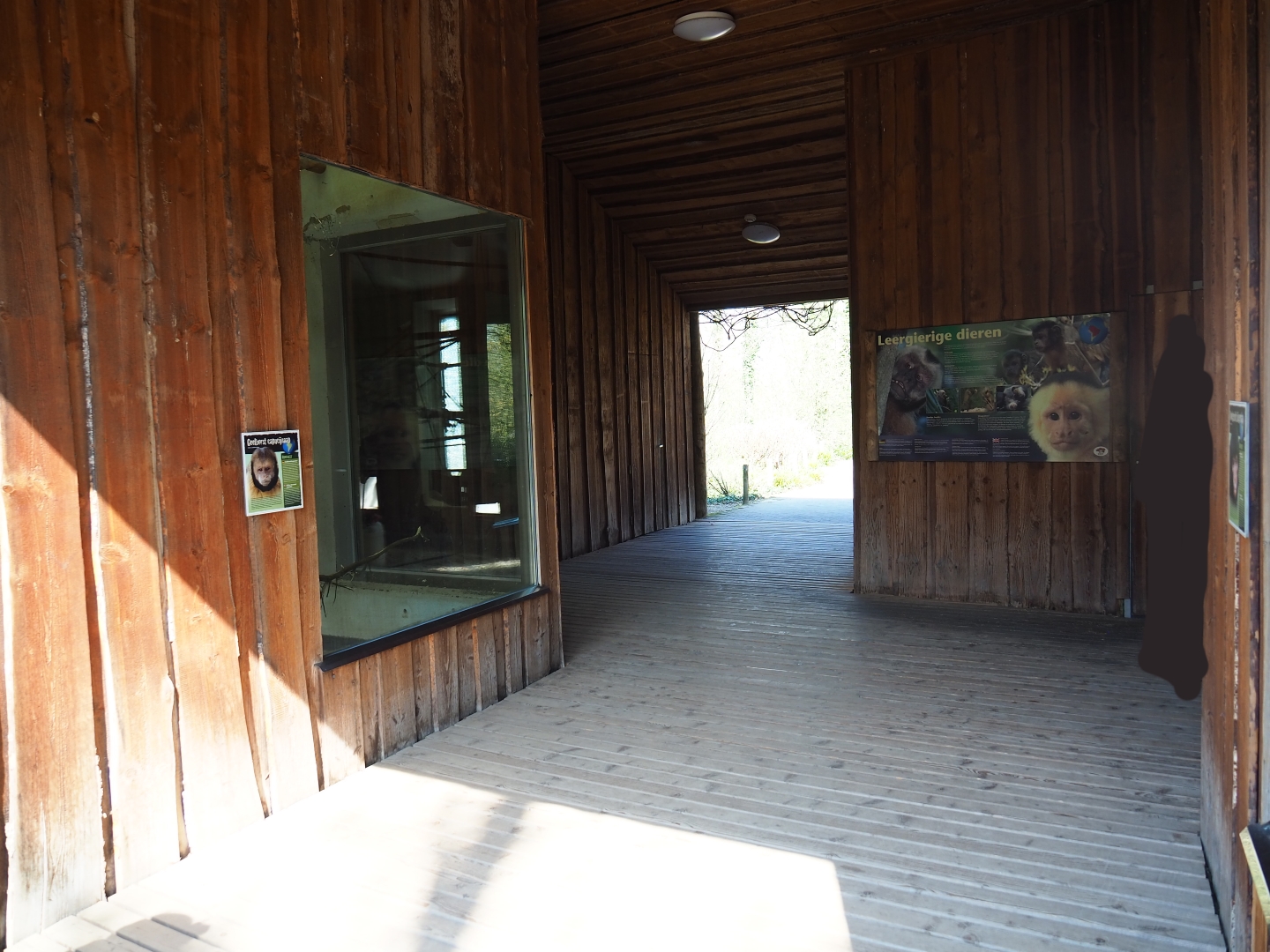 Monkey house passage, 2019-03-30