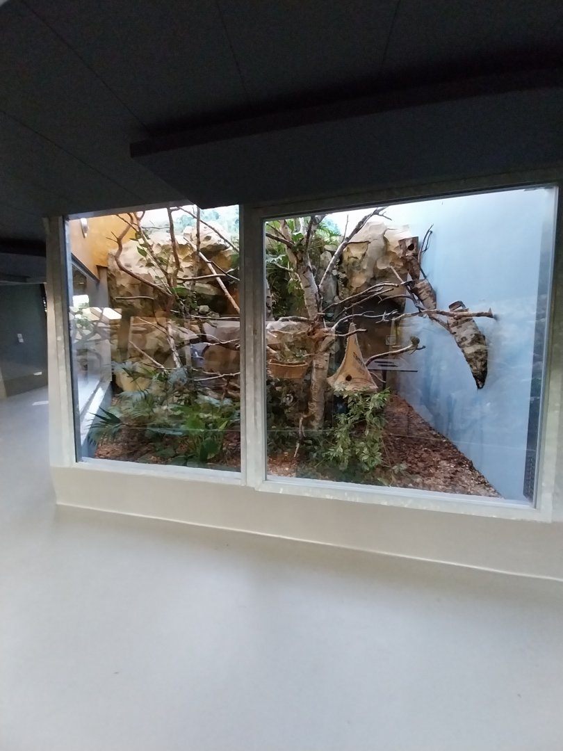 Monkey House - Pygmy marmoset enclosure