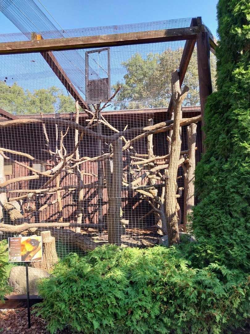 Monkey House - Red Ruffed Lemur (Varecia rubra)