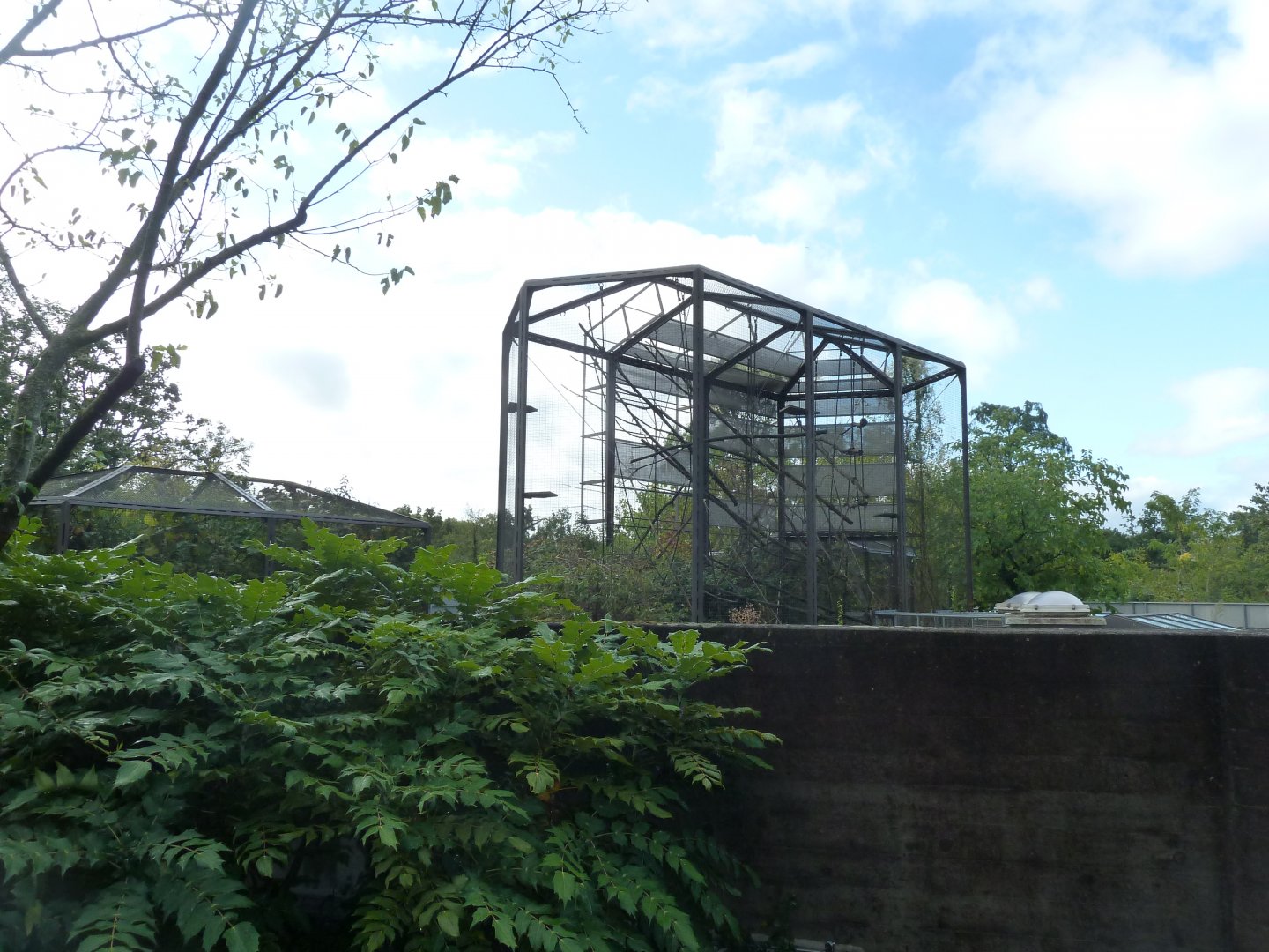 Monkey house - Rooftop exhibit for black-handed spider monkey