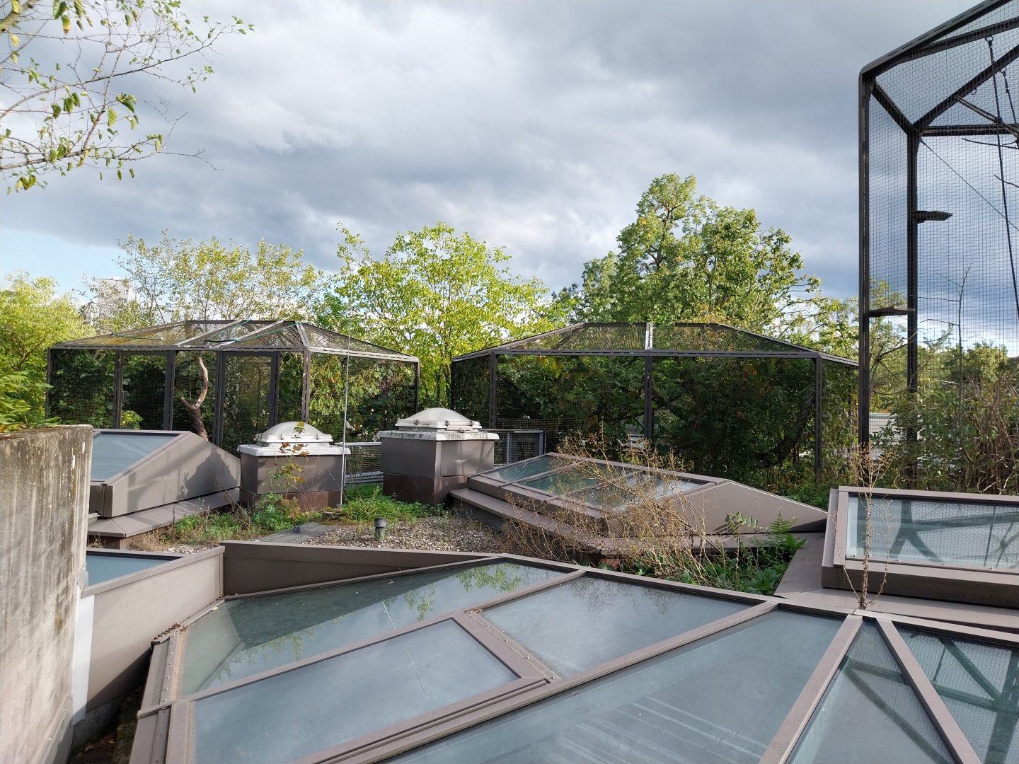 Monkey house - Rooftop exhibits for callithrichidae