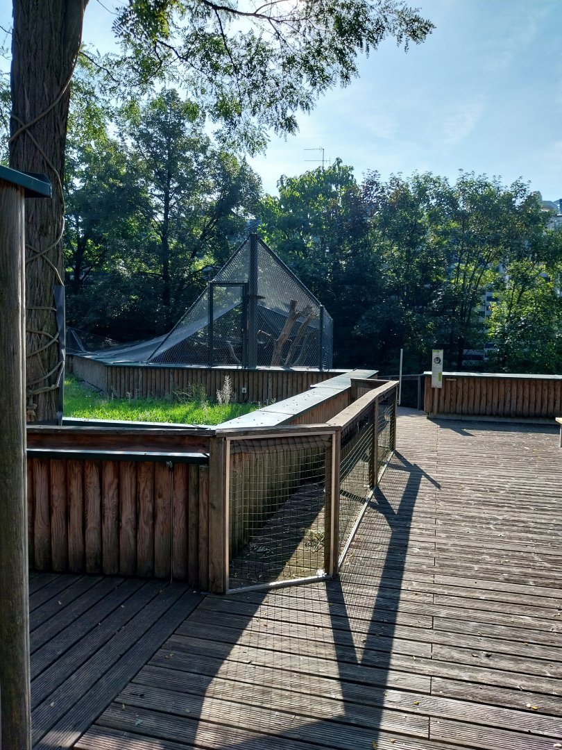 Monkey house rooftop view