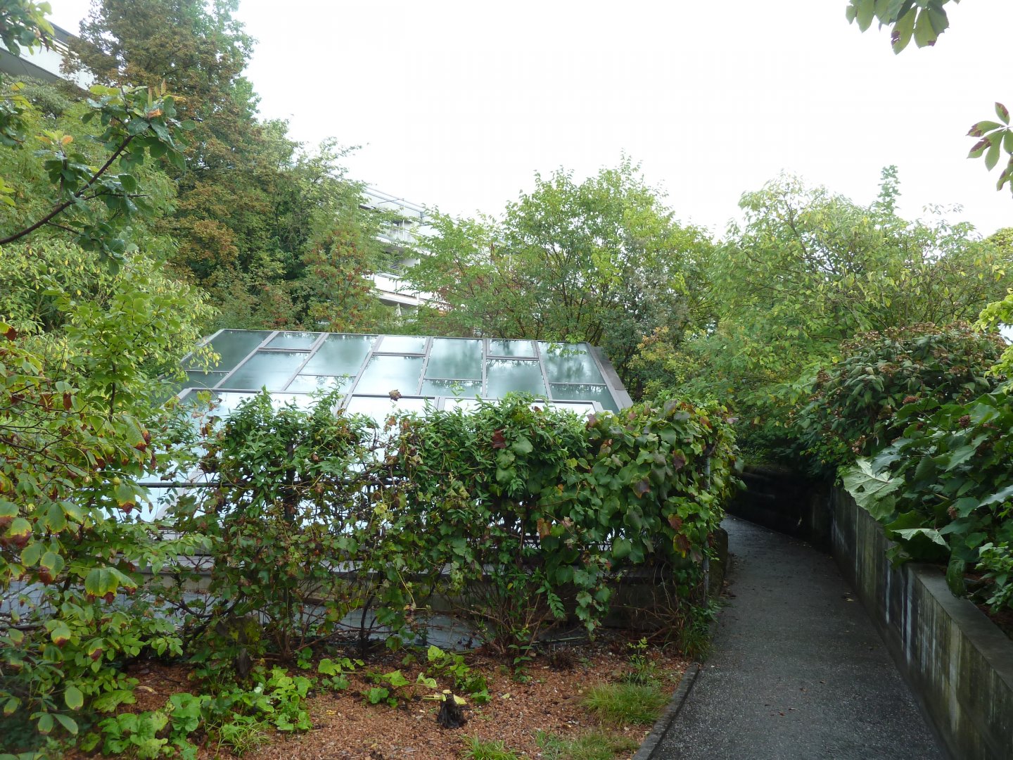 Monkey house - Rooftop visitor area