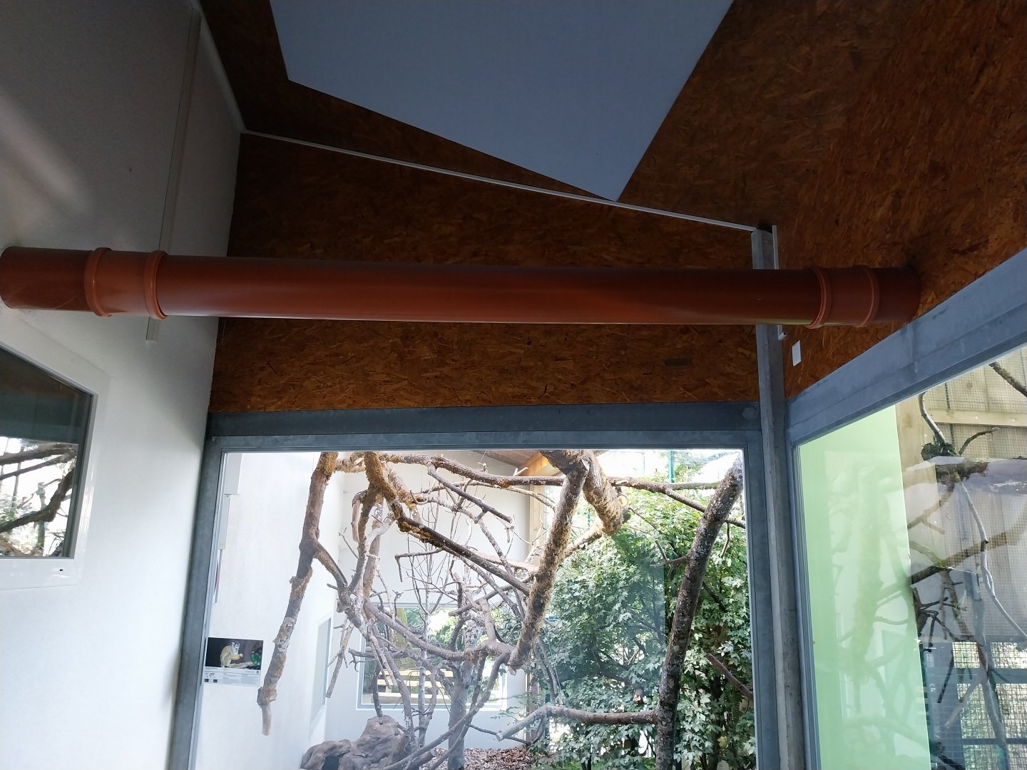 Monkey House - Sewage pipe passage for callitrichids