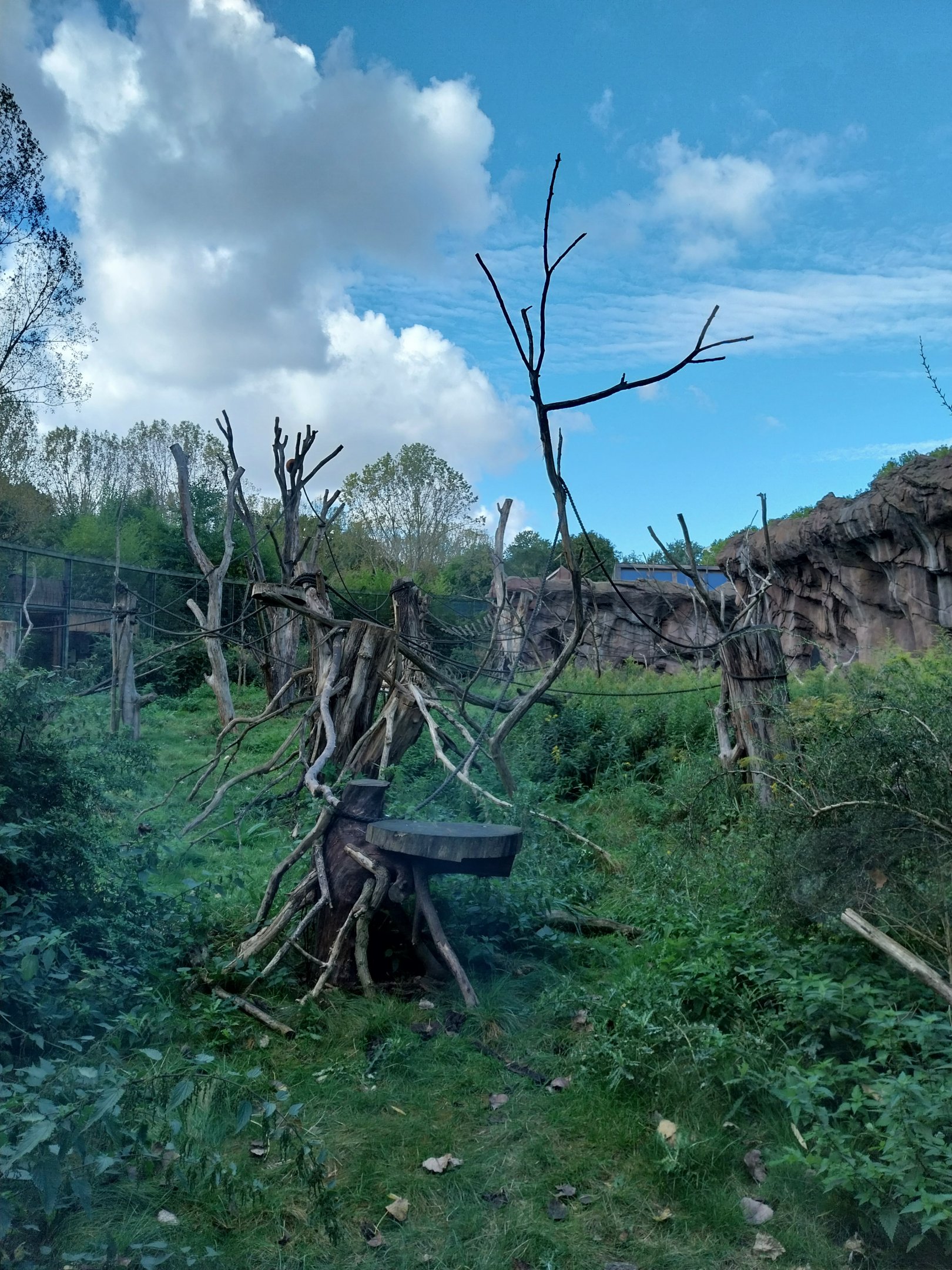 Monkey House - South America exhibit