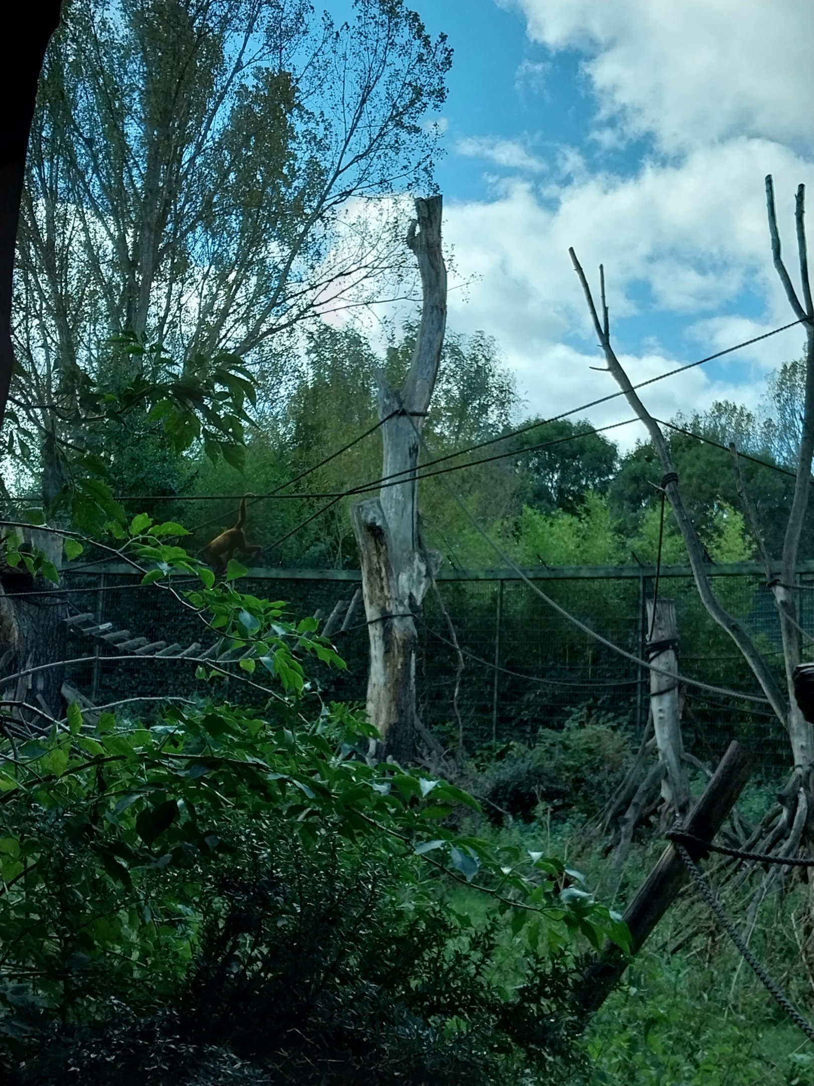 Monkey House - South America exhibit