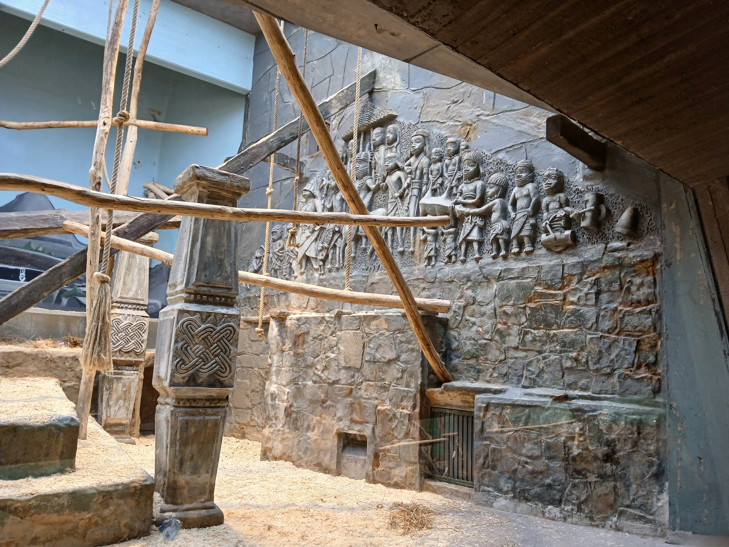 Monkey House - Spider Monkey exhibit (30th September 2025)