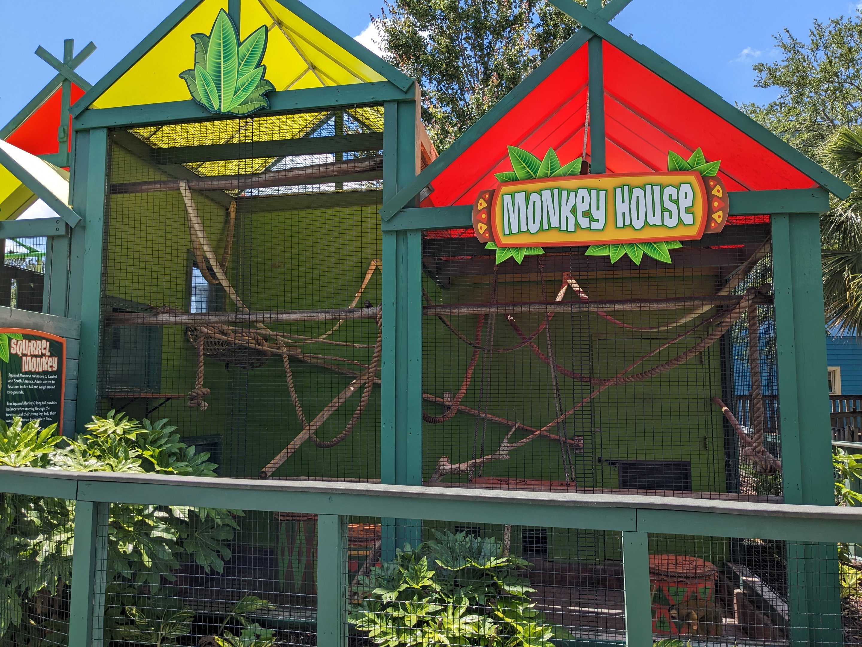 Monkey House - squirrel monkey