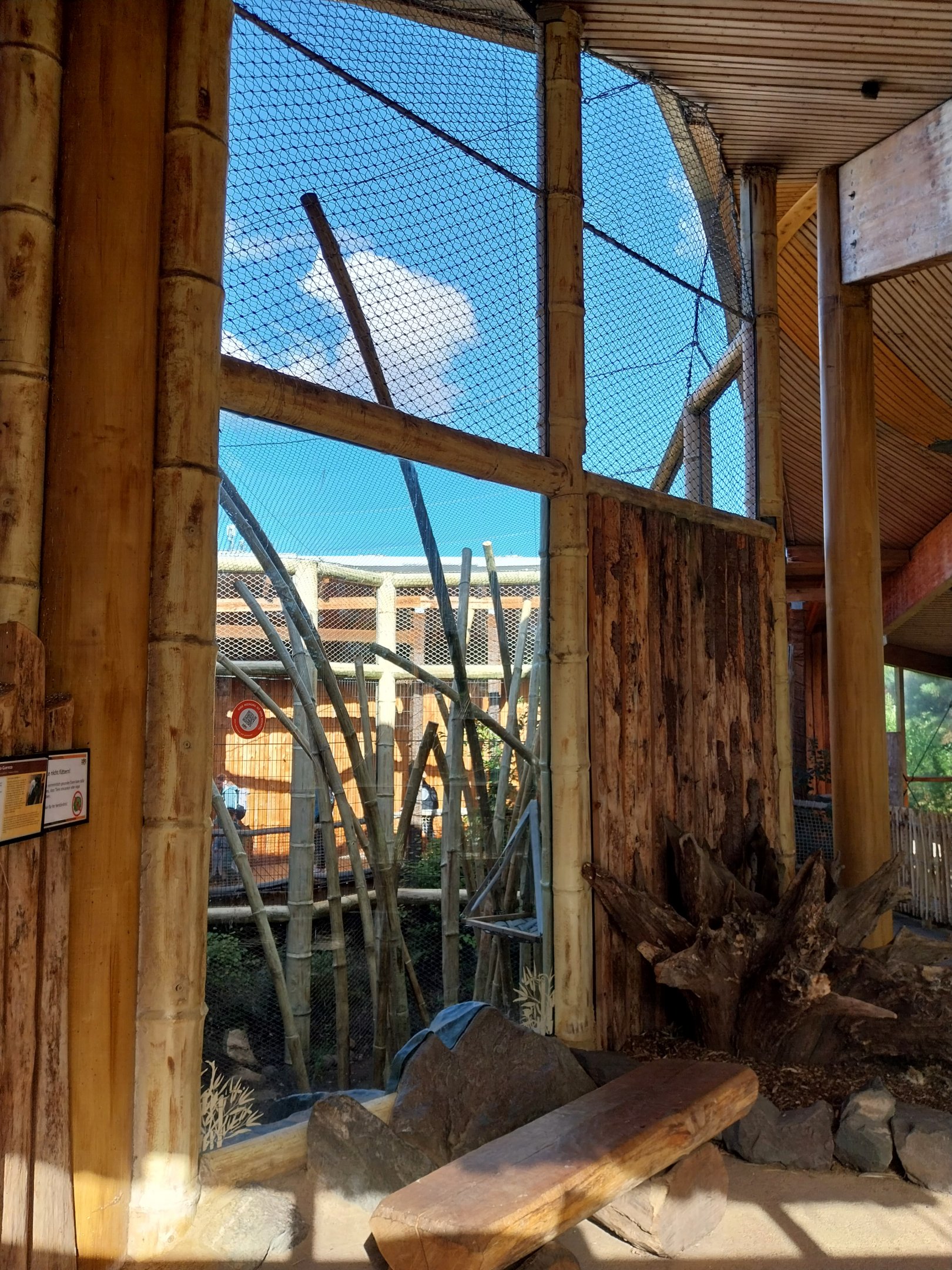 Monkey House - Tanzanian Black-and-White Colobus (Colobus angolensis palliatus)