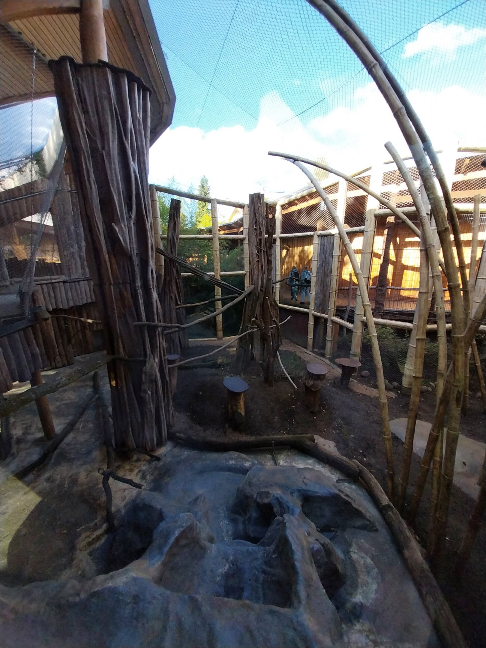 Monkey House - Tanzanian Black-and-White Colobus (Colobus angolensis palliatus)