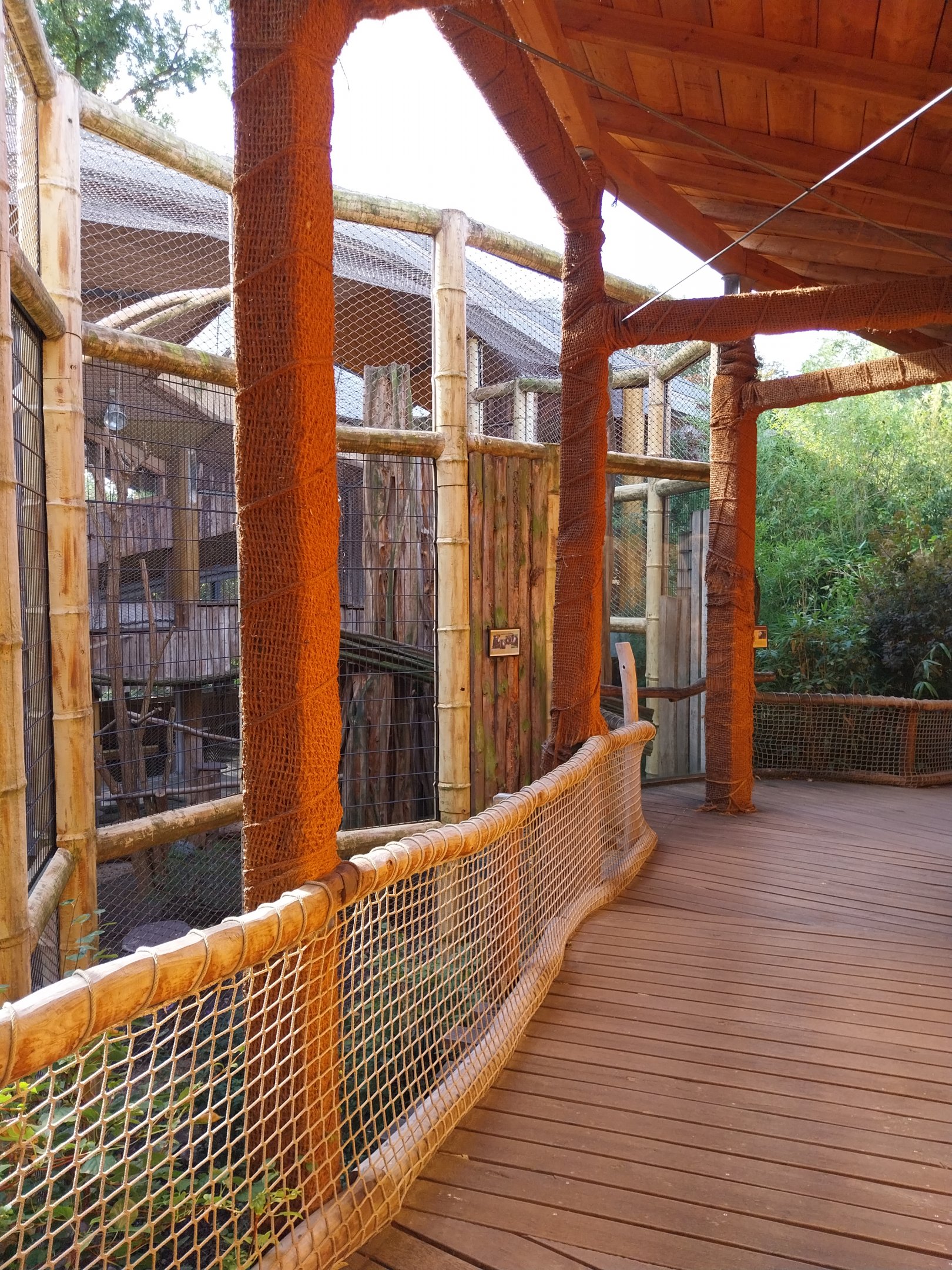 Monkey House - Tanzanian Black-and-White Colobus (Colobus angolensis palliatus)