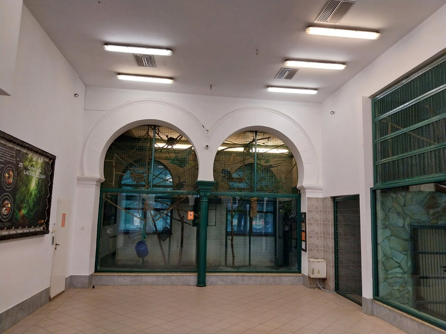 Monkey House - Tanzanian black-and-white colobus indoors