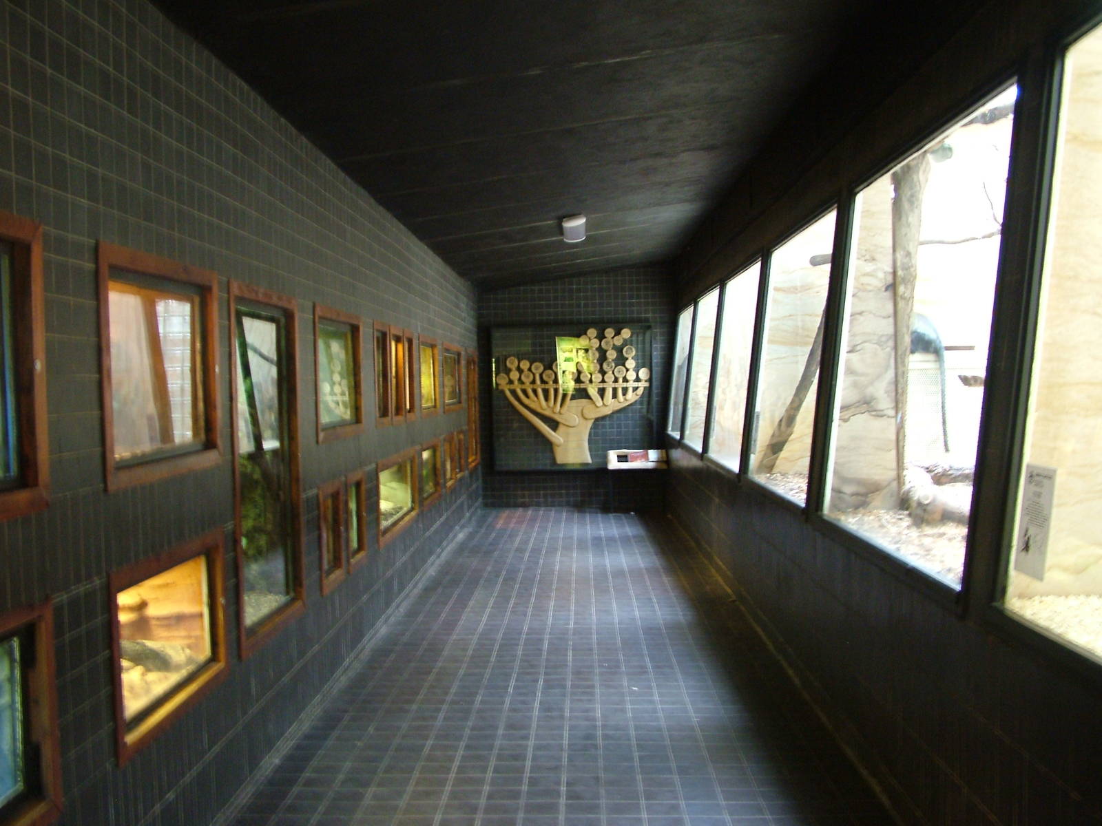 Monkey House/terrarium at Jihlava, 31/05/10