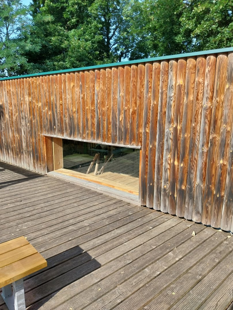 Monkey house - Viewing window into the mantled colobus interior enclosure