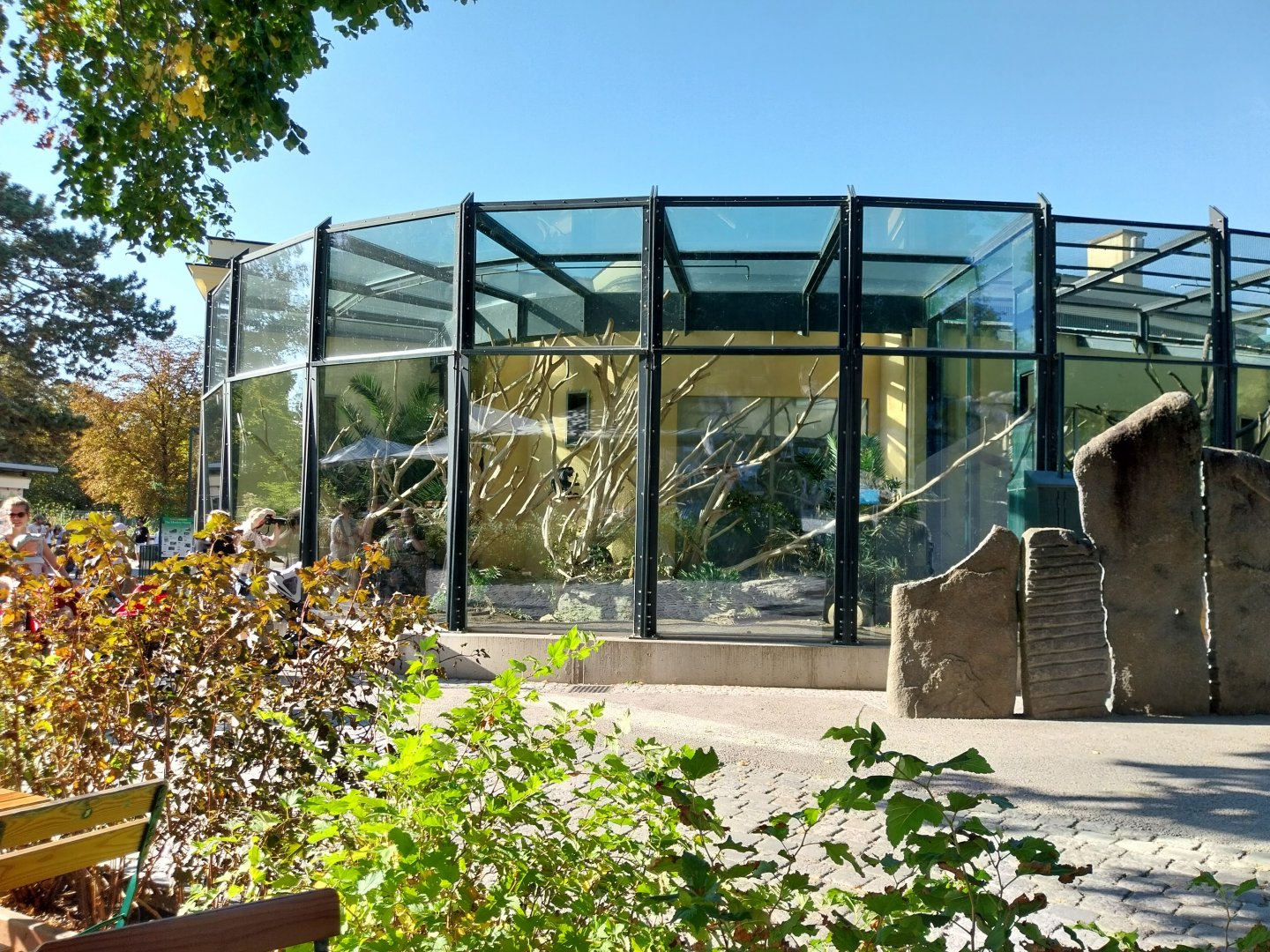 Monkey House - Western colobus enclosure