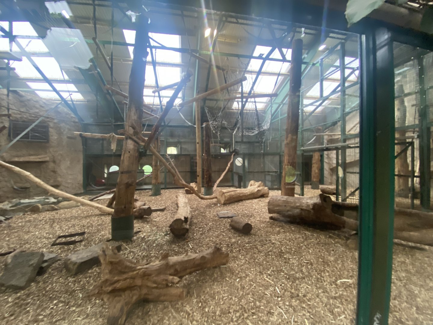 Monkey House - Yellow-breasted capuchin exhibit 191021